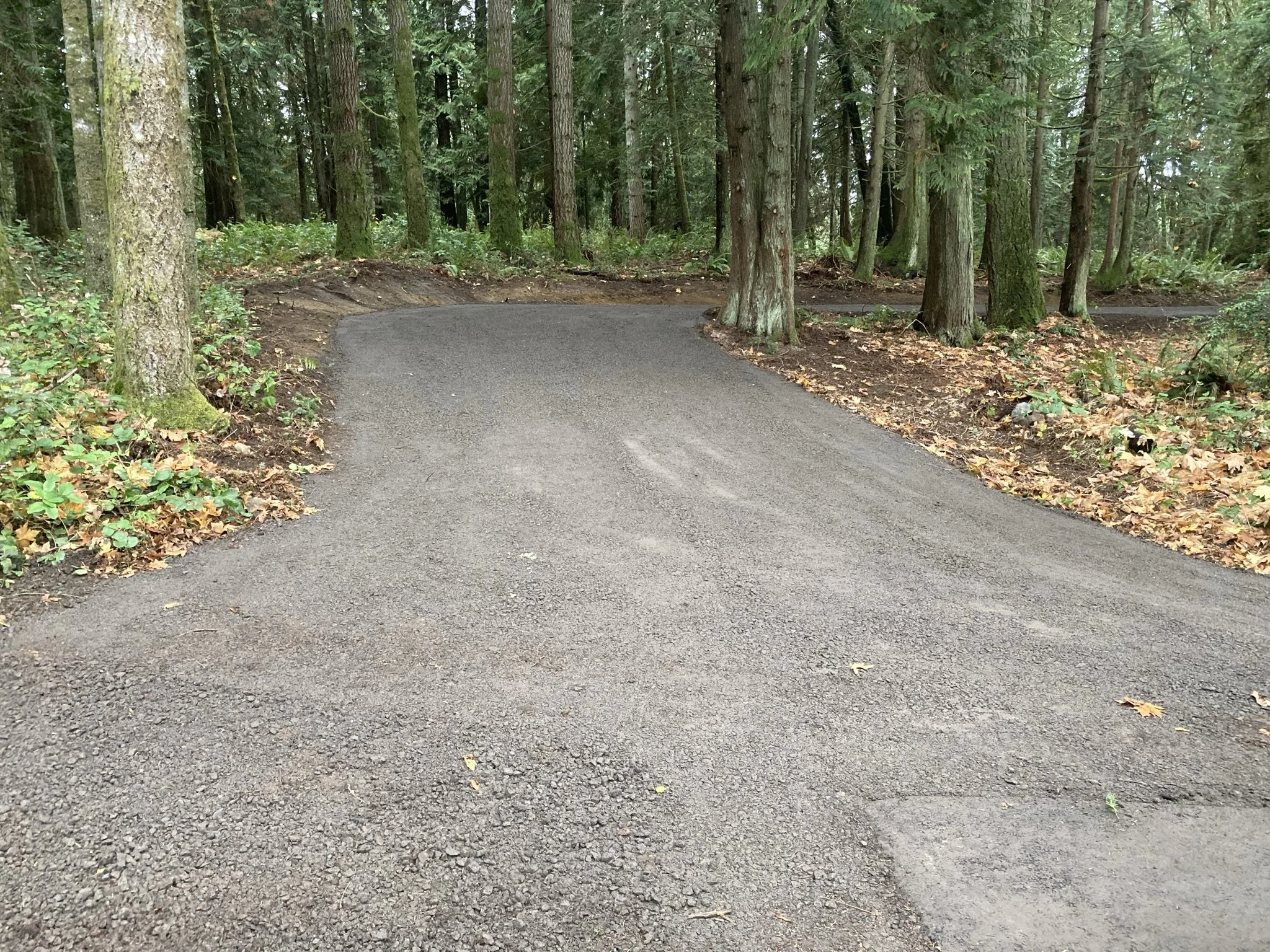 driveway construction (2).JPEG