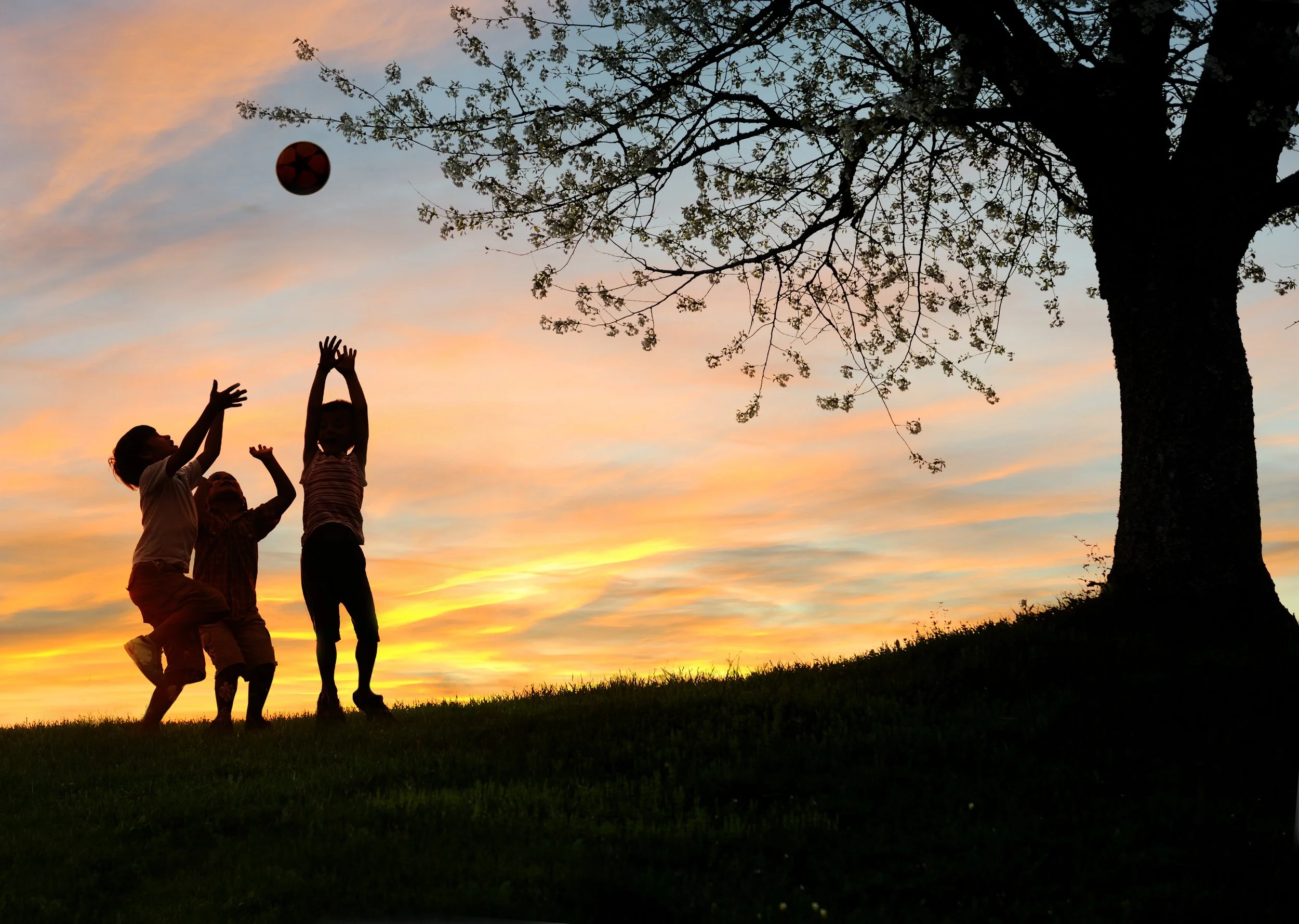 Children playing with a ball outdoors during sunset, silhouetted against the colorful sky near a large tree.