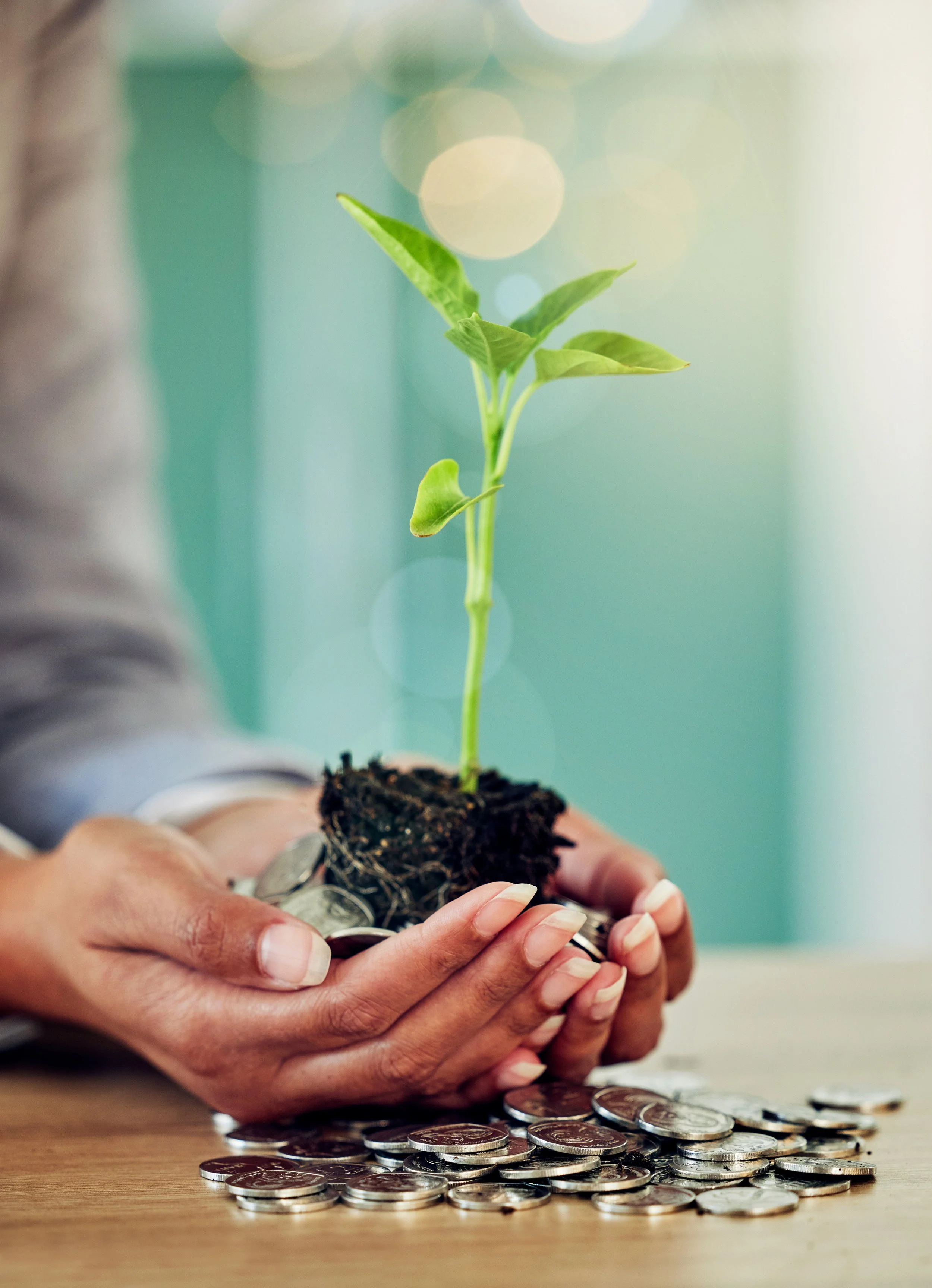 Close-up of a person holding a small green plant with soil, with coins scattered on a wooden surface below.