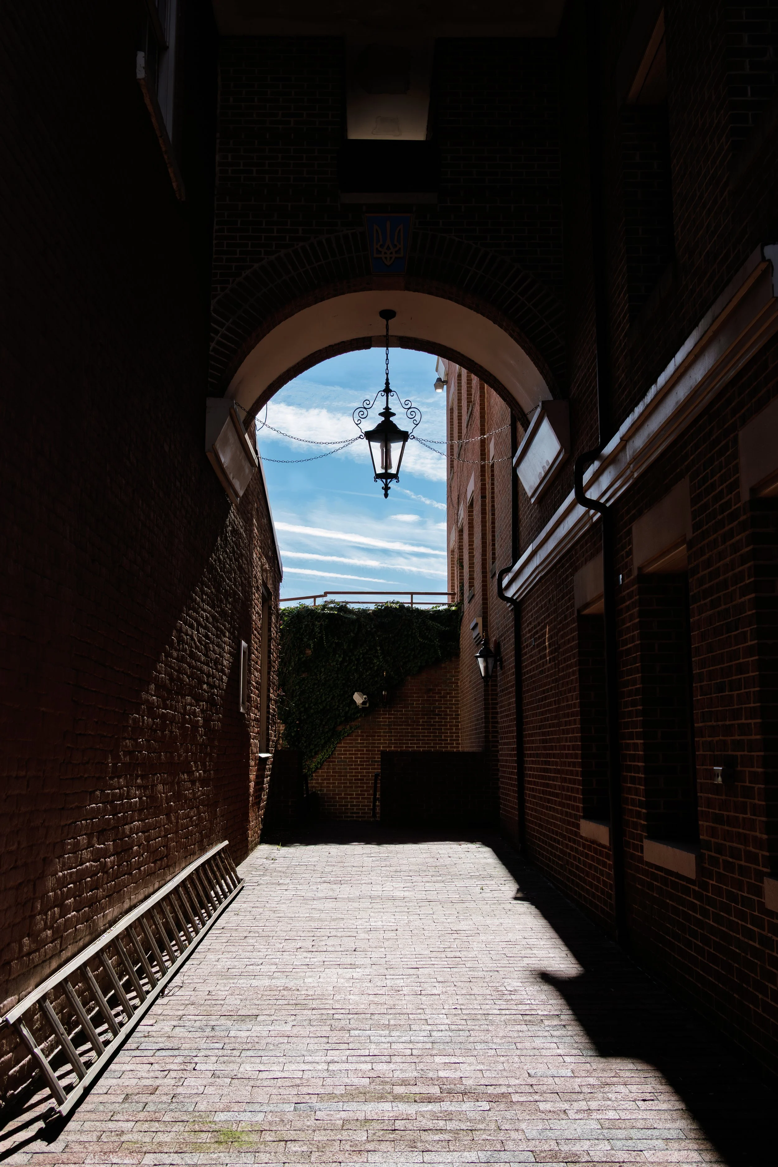 DSC02207.jpg