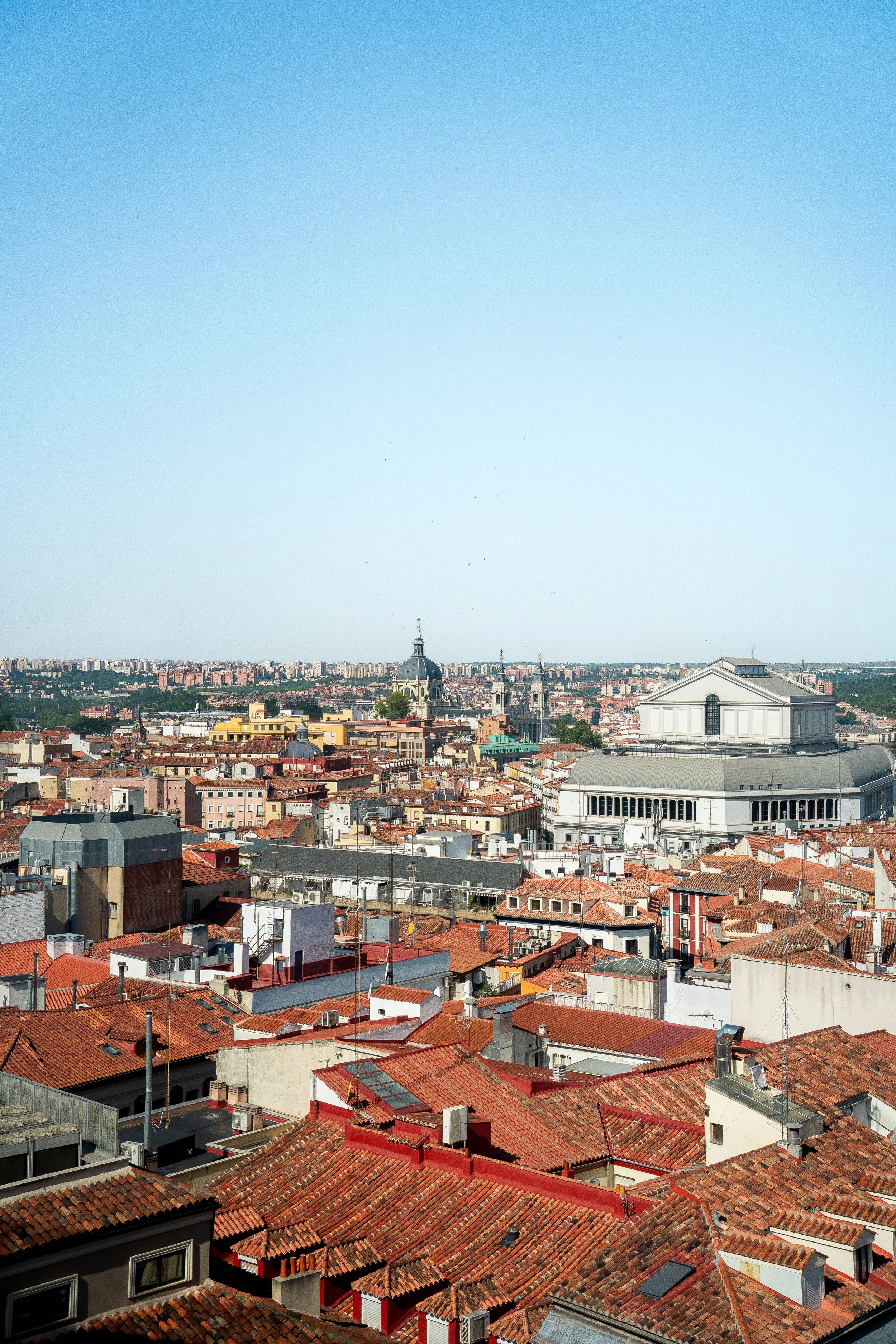 DSC08745-2.jpg