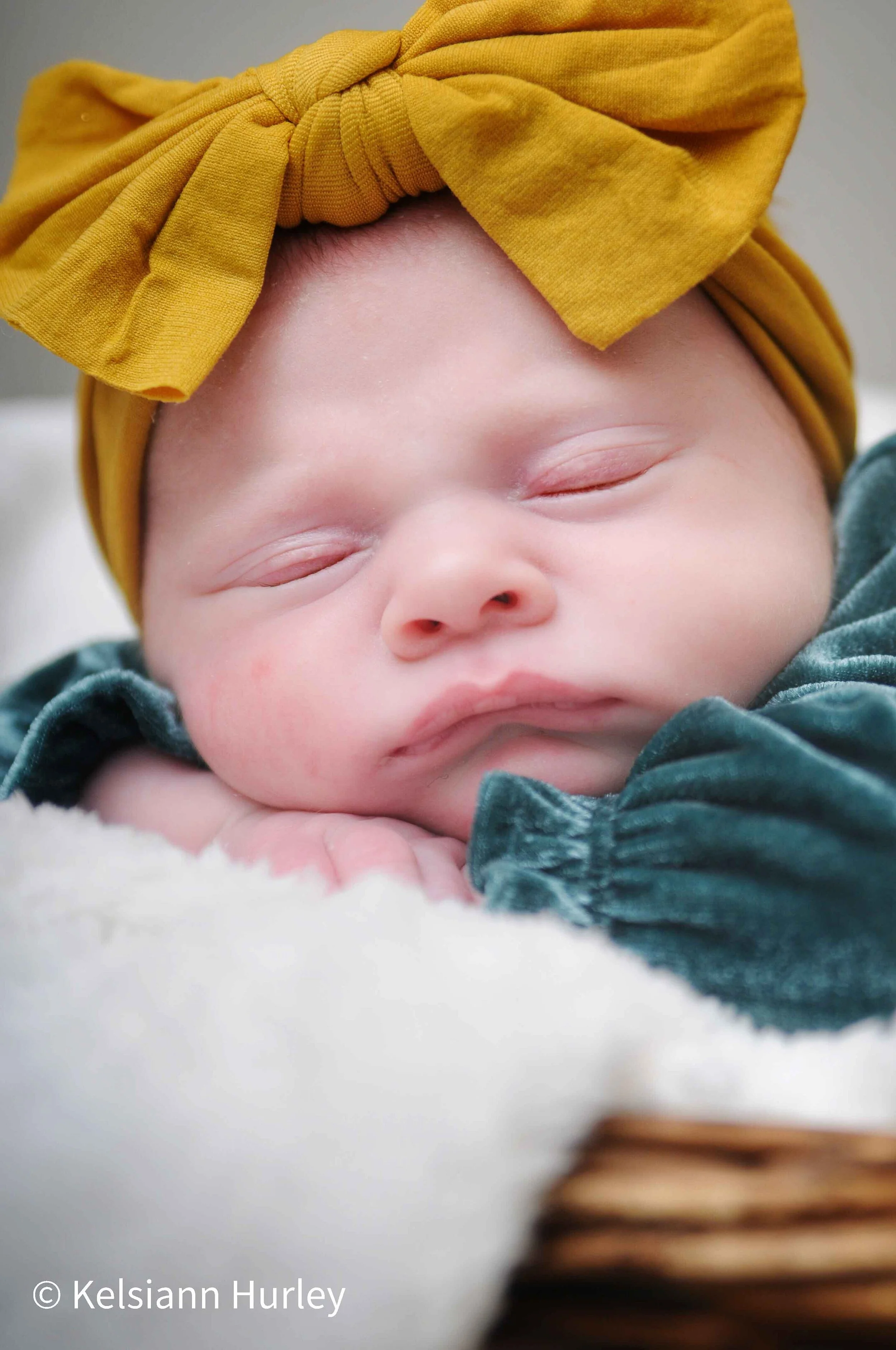 roanoke-newborn-photographer