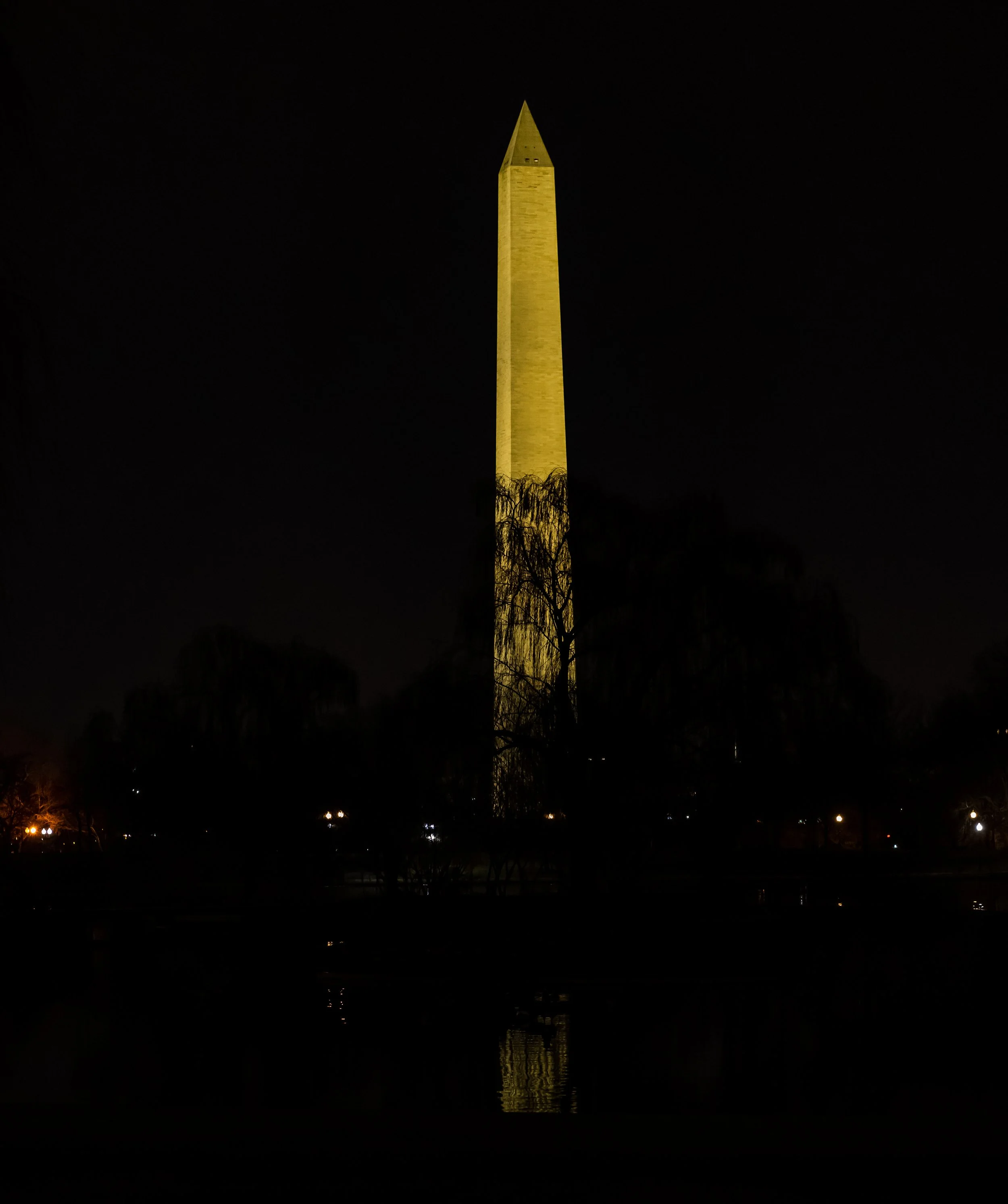 DSC07436.jpg