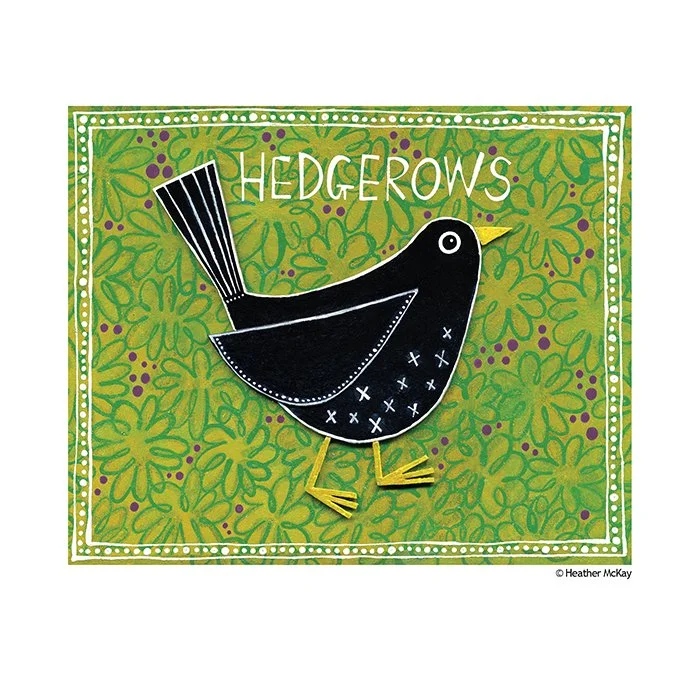 GIFT CARD FOR HEDGEROWS