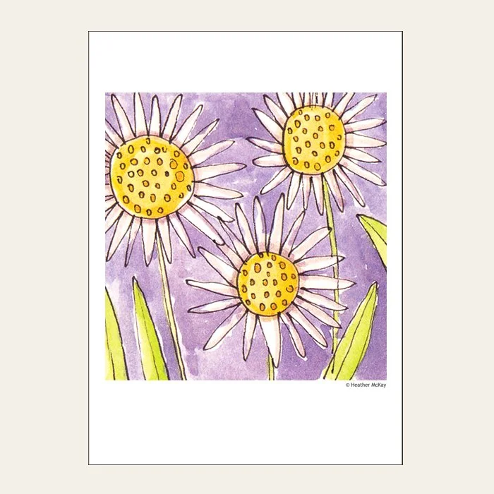 DAISIES
