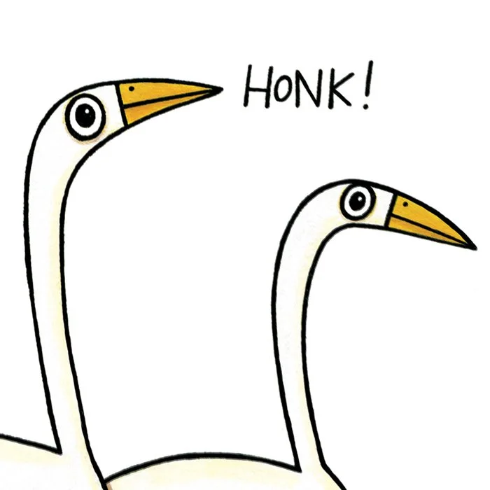 quirky-geese-gift-print-p221-closeup.jpg