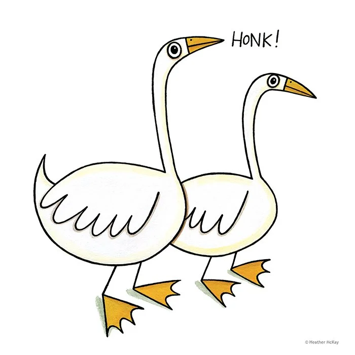 Two white geese illustrated by Heather McKay. Standing side by side, one larger than the other, with the larger goose making a honking sound.