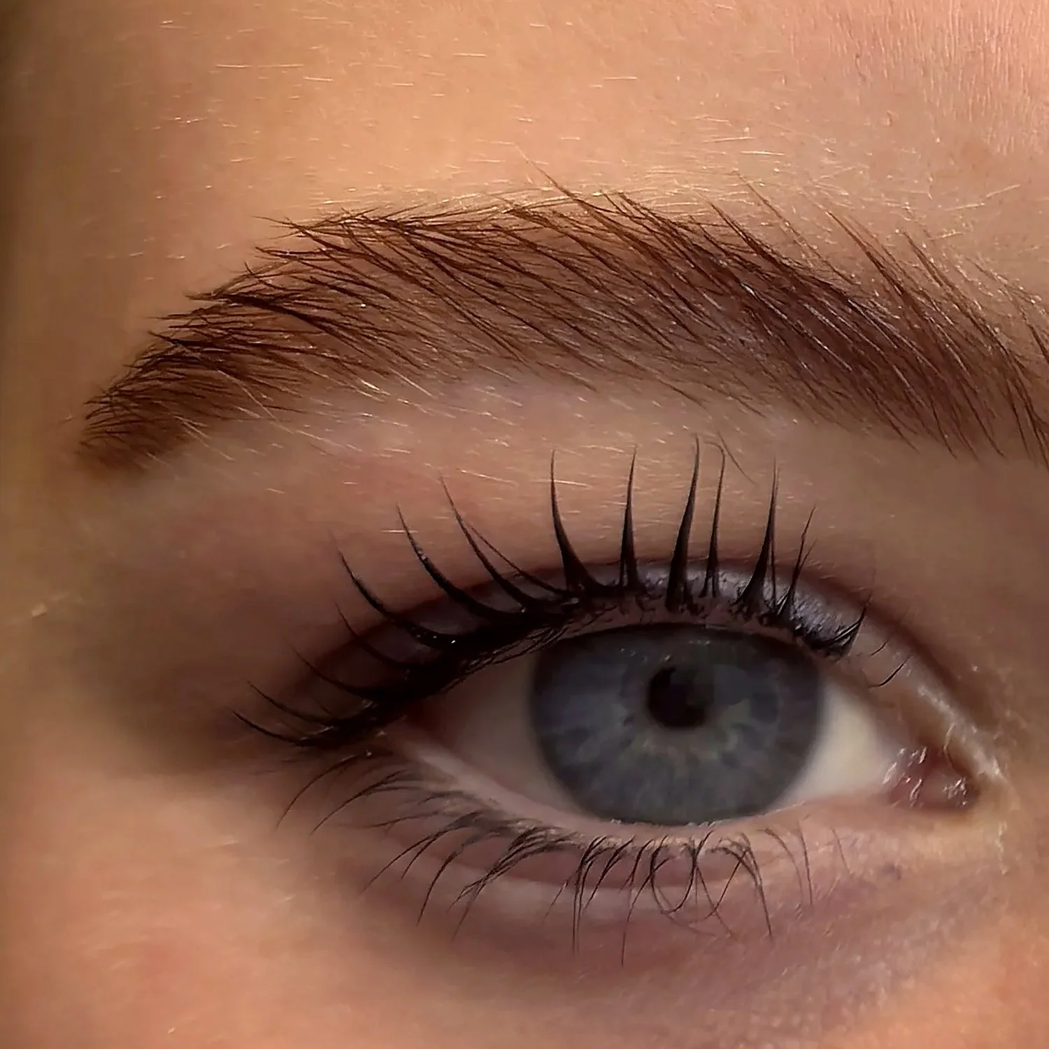 Lifted and tinted lashes after a lash lift at La Signora, Mount Martha