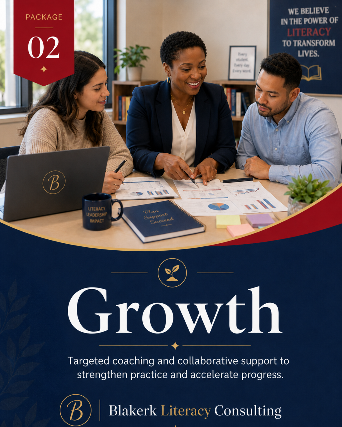 Blakerk Literacy Growth Consulting Package