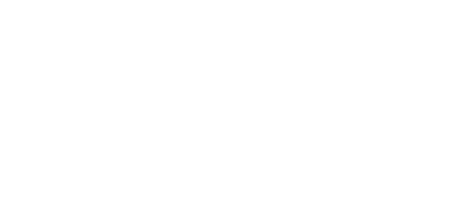 NCL Logo (550w).png