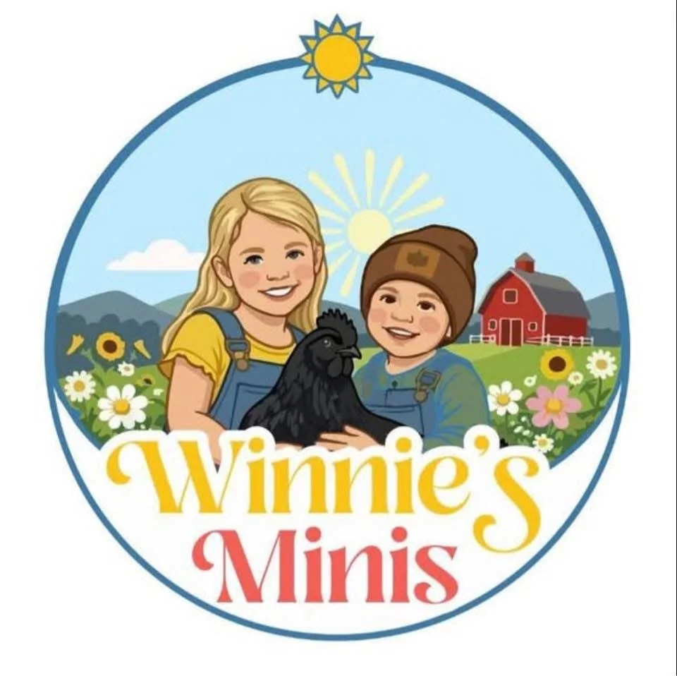 Winnie's Minis 