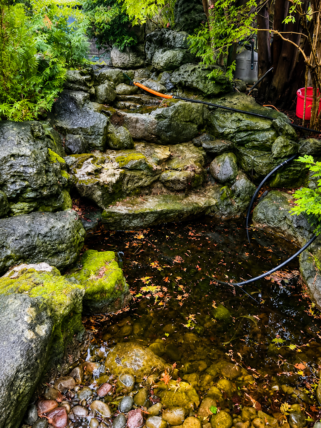 A small artificial waterfall surrounded by rocks and greenery, with a pond at the base containing fallen leaves and pebbles. There are hoses and watering equipment nearby.
