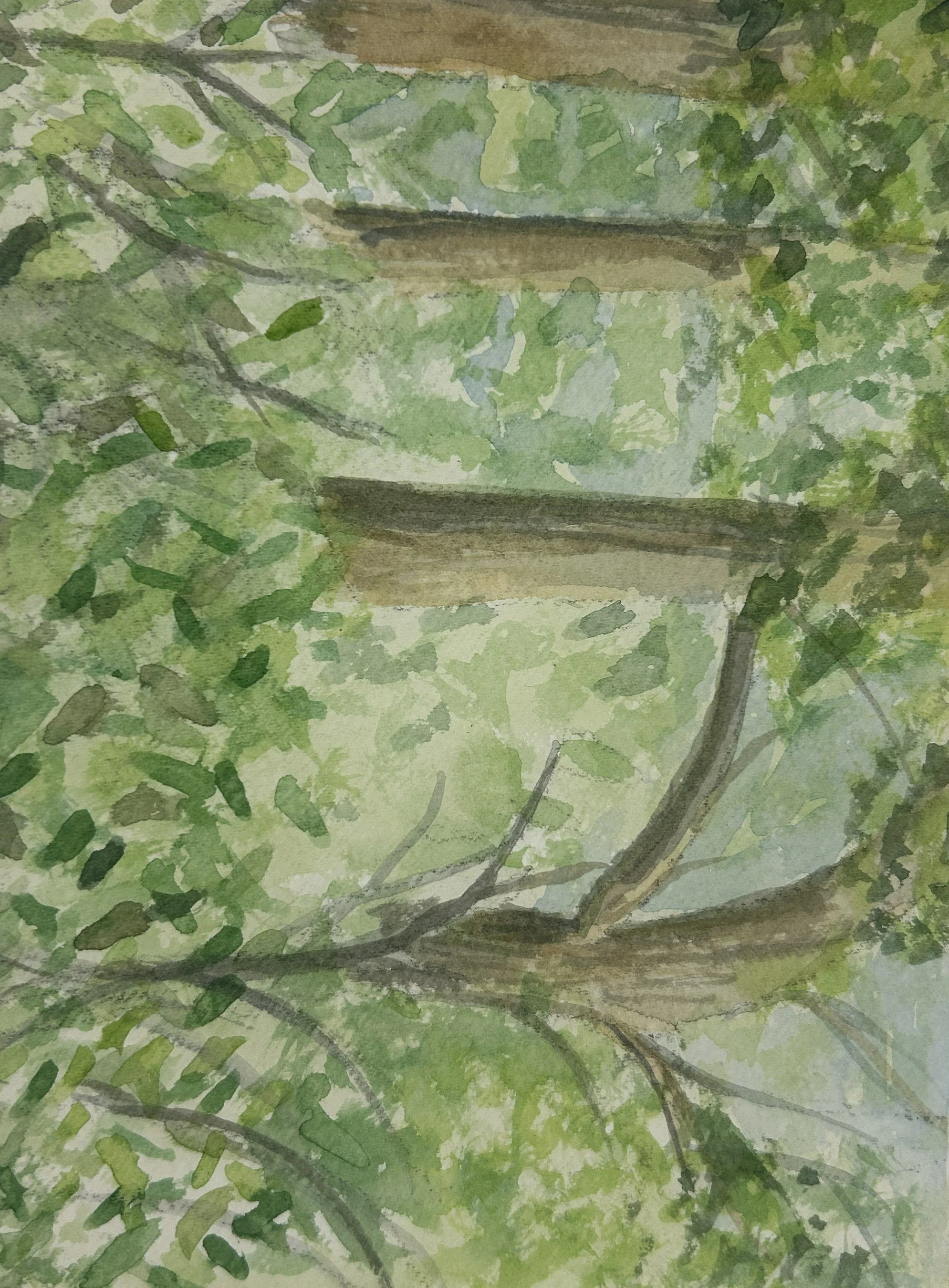 Lost in the Green