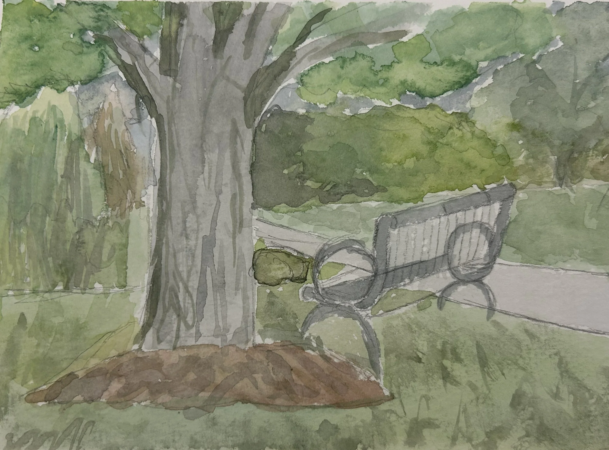 A Walk in the Park