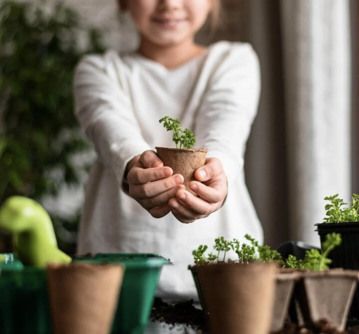 🌱 Tiny Garden Co Gift Card — 1 Box Gift