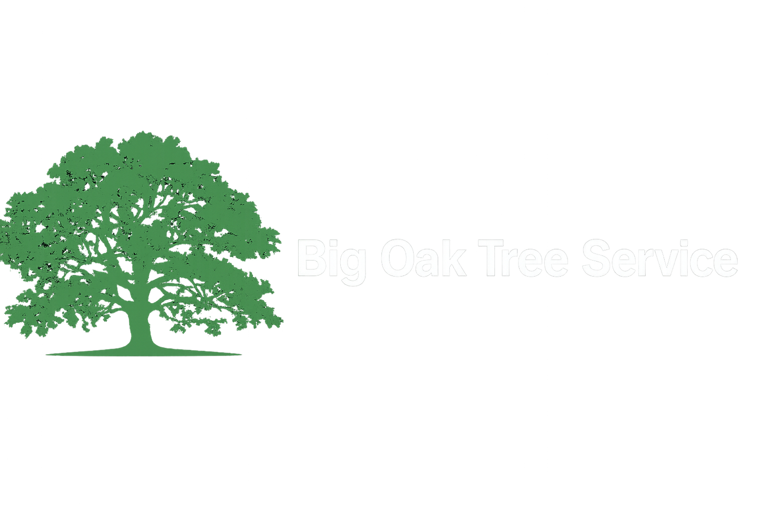 Big Oak Tree Service