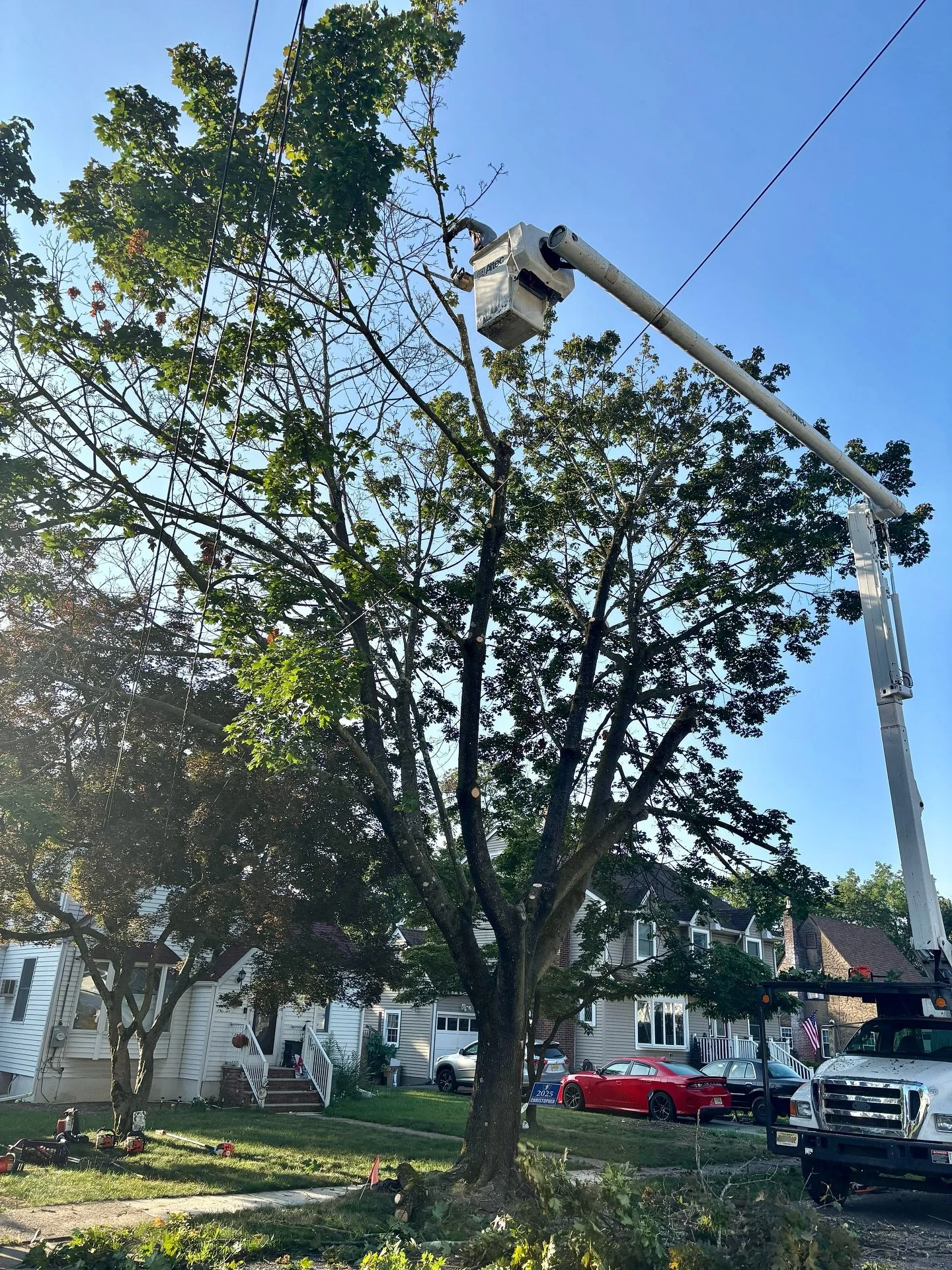 Took down a dying maple tree in Waldwick. Big thanks to my buddy Jimmy at All Seasons Tree Service for clearing the power lines with his bucket truck and making it safe for me to finish the removal.

#BigOakTreeService #Waldwick #NJTreeService #Berge