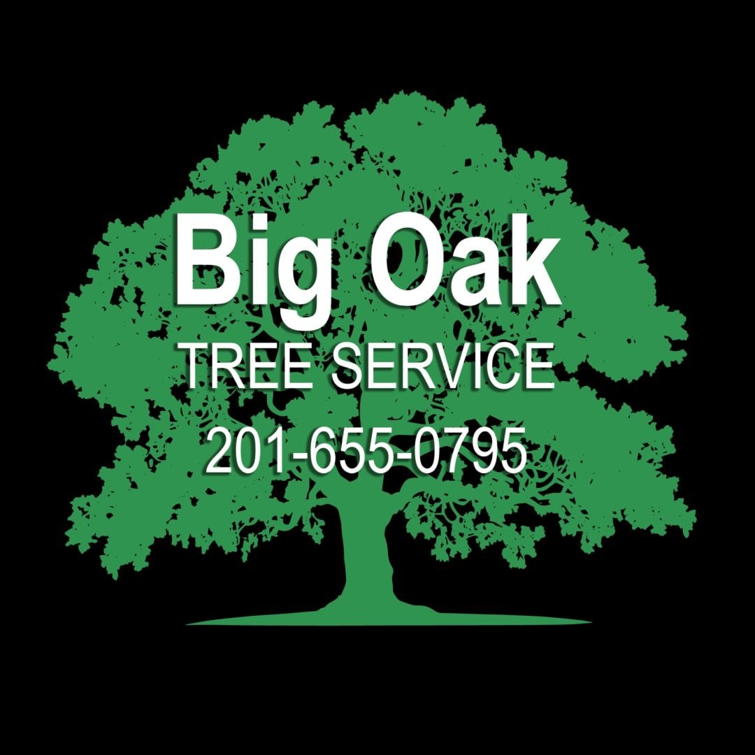 Exciting news, friends and family! Big Oak Tree Service is back and serving northern NJ!

After some time in Florida, I&rsquo;ve returned home to continue the family business that my father ran for over 30 years. I&rsquo;m still committed to the same
