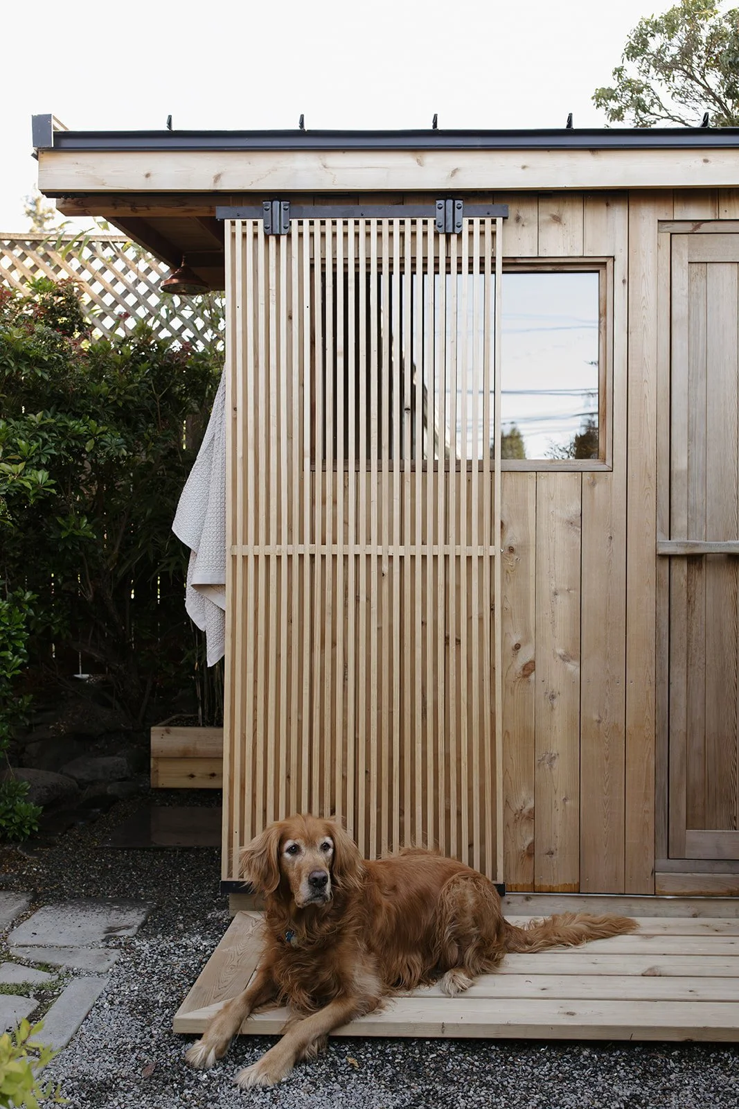 A golden retriever dog lying on a wooden platform outside a small wooden structure with vertical slats and a window, surrounded by greenery.