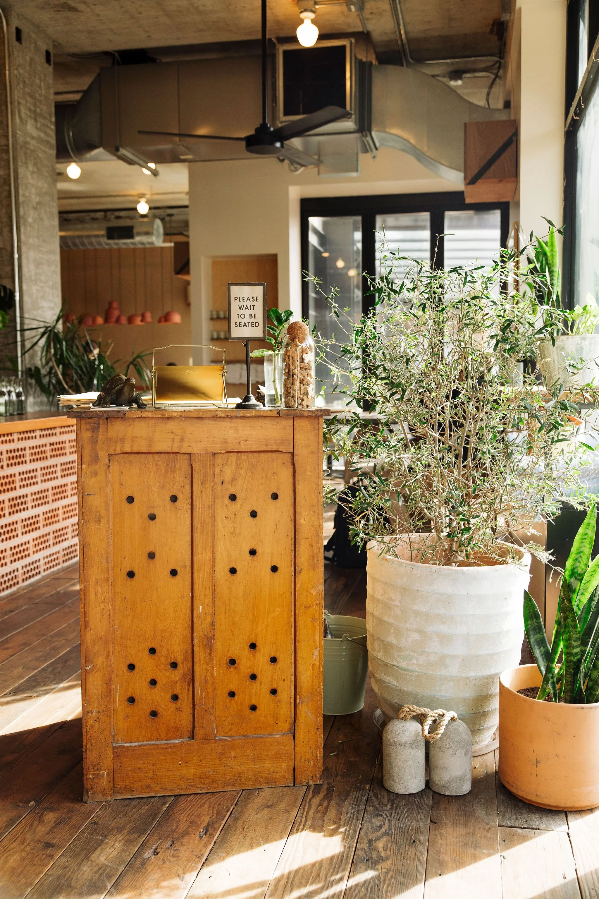 Interior of a cozy cafe with wooden floors, potted plants, and a wooden counter with a sign reading 'Please wait to be seated.' The ceiling has exposed pipes and lighting fixtures, and sunlight filters through glass doors.