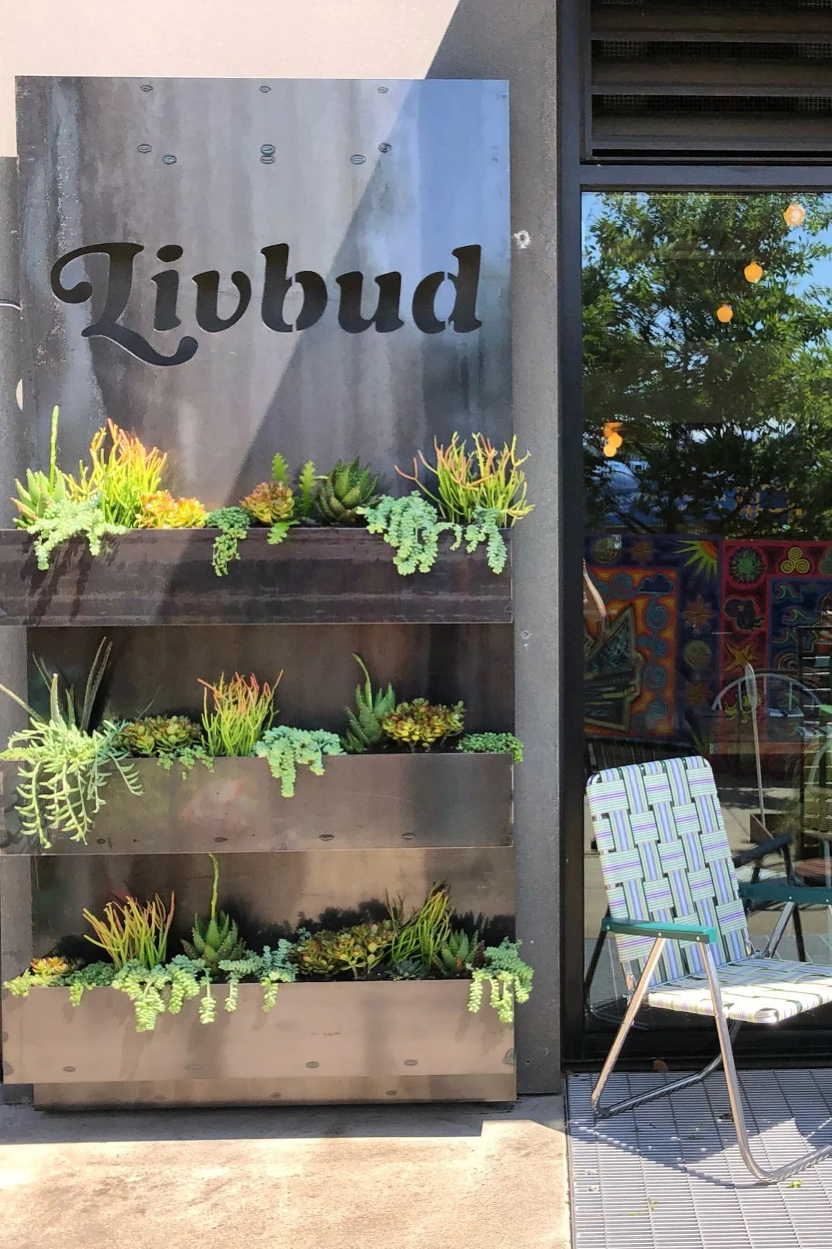 A vertical garden with five metal planters filled with succulents and small plants, positioned on a gray wall outside a building. To the right, a window reflects green trees and a blue sky, with colorful artwork visible inside. A patterned outdoor ch