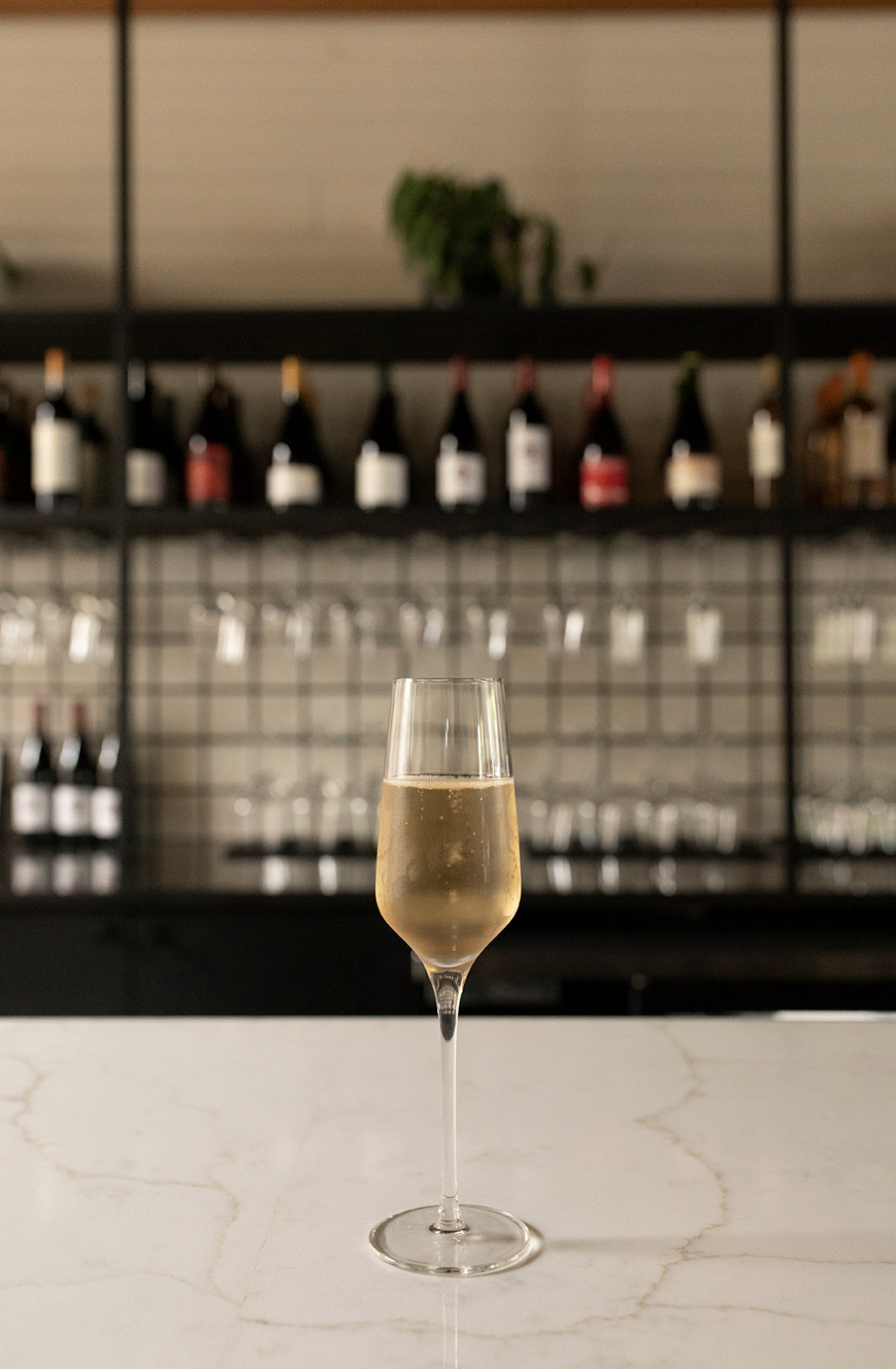 A glass of champagne or sparkling wine on a white marble surface with a background of wine bottles on black shelving.