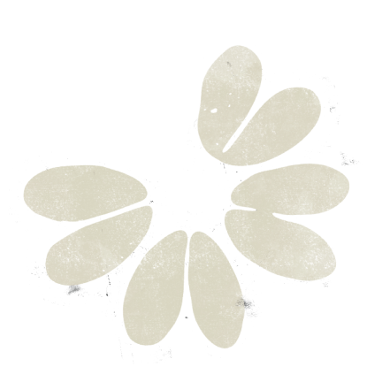 A white flower with five petals and a red center.