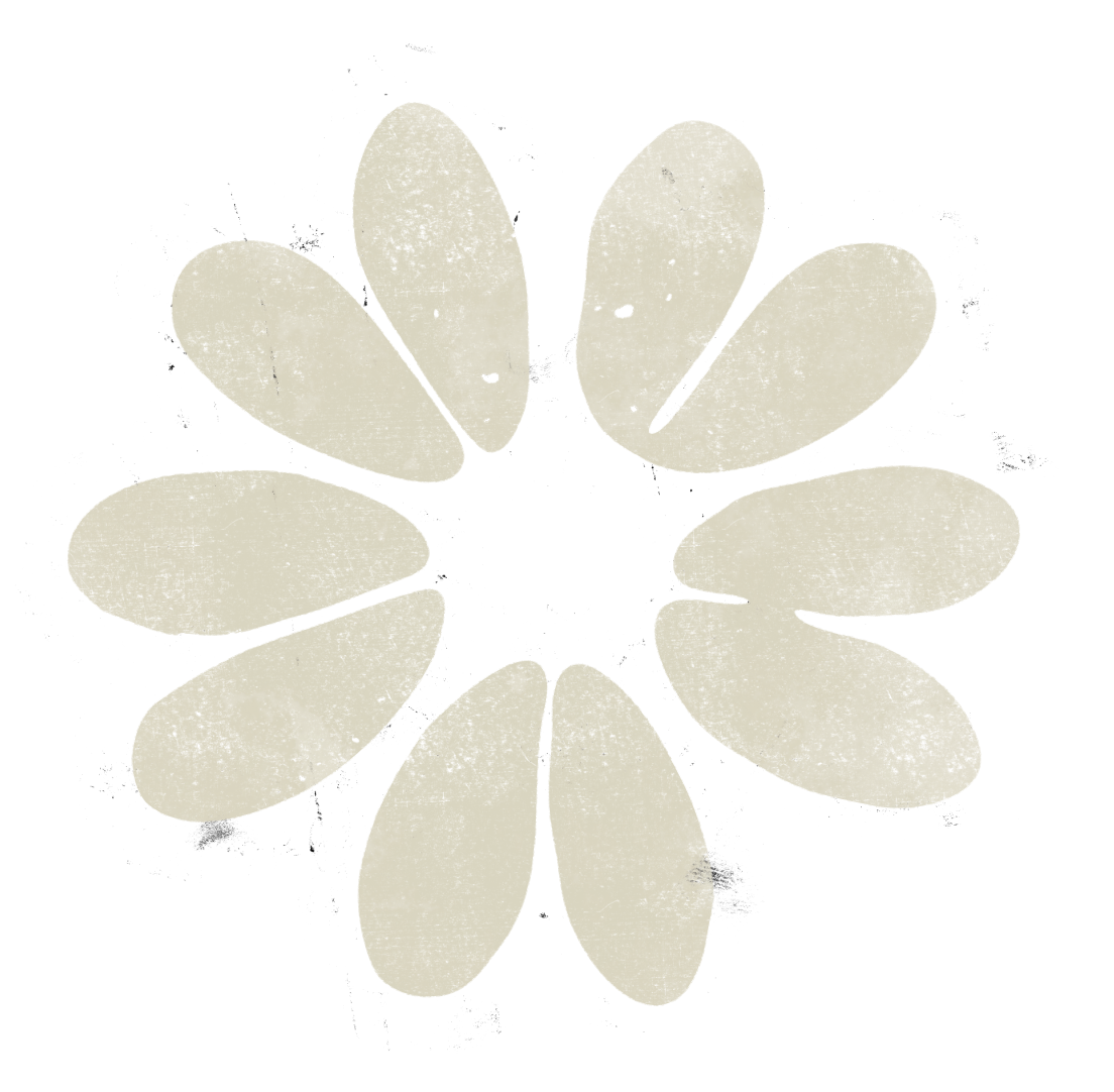 A white flower with seven petals against a black background.