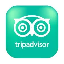 Tripadvisor logo with owl face