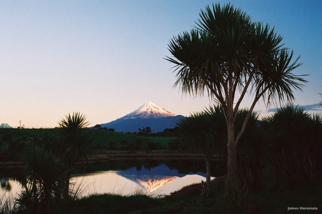 Snow-capped mountain, possibly Mount Taranaki, reflected in a calm body of water, with palm trees and green grassy hills in foreground, sky clear with a hint of sunset or sunrise light.