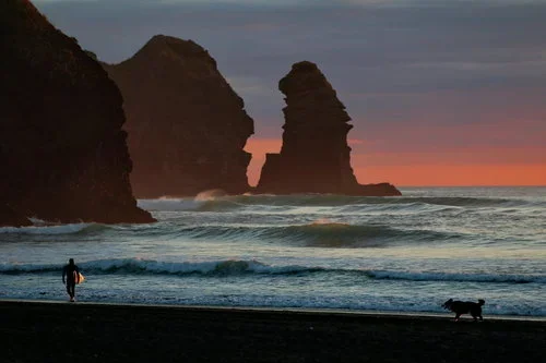 A person with a surfboard walking along the beach at sunset with a dog, with rugged rocky formations in the ocean in the background.