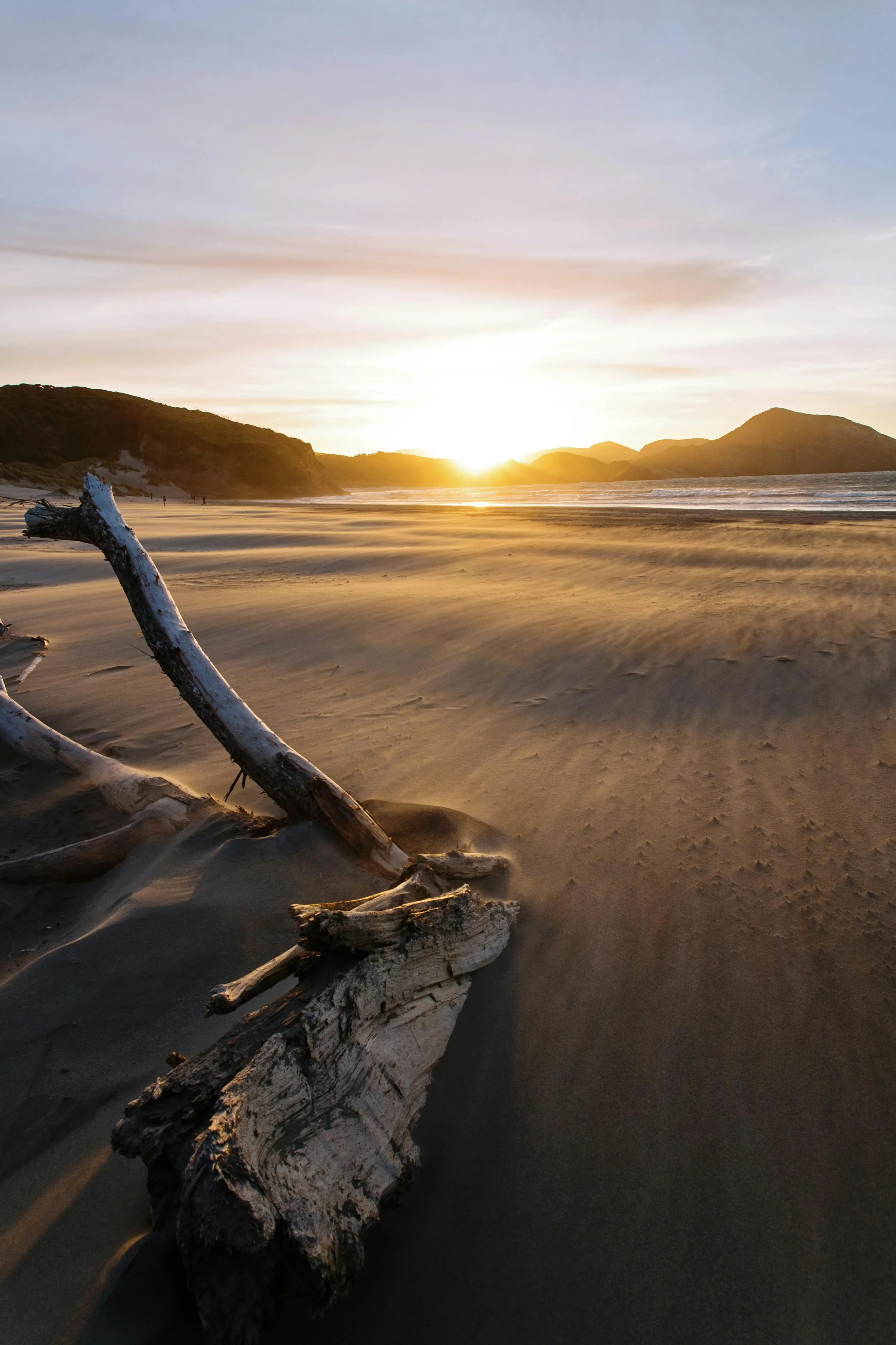 Sunset over a sandy beach with driftwood and mountains in the background.