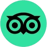 Icon of glasses and an owl, stylized in black on a green circular background.