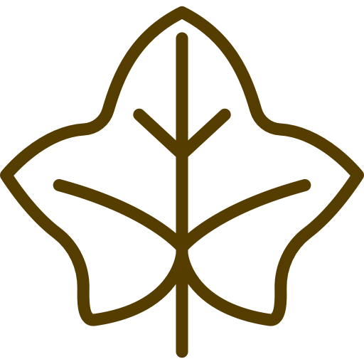 Outline of a maple leaf