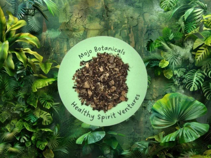 Black Cohash Root