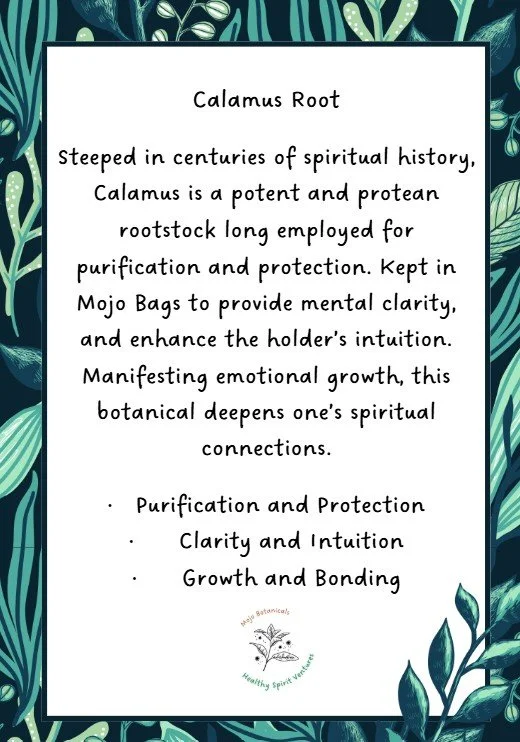 CalamusInfo.jpg
