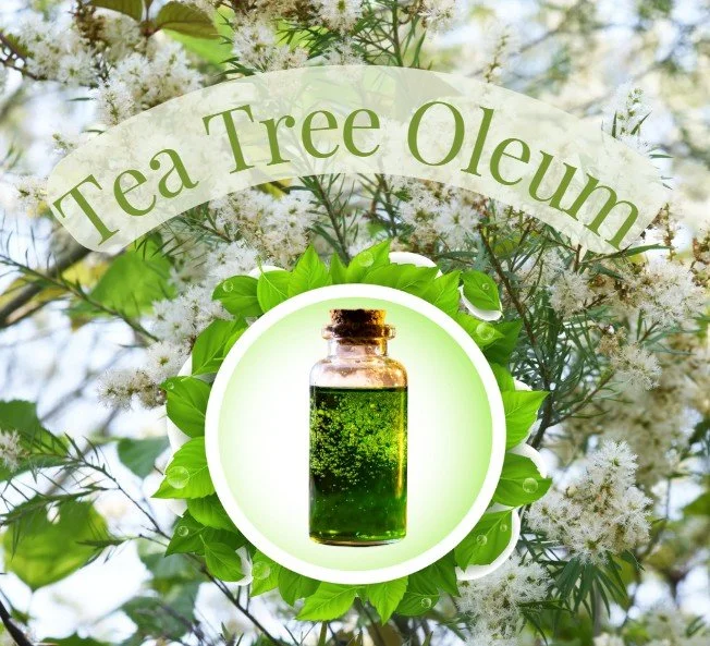 TeaTreeCover.jpg