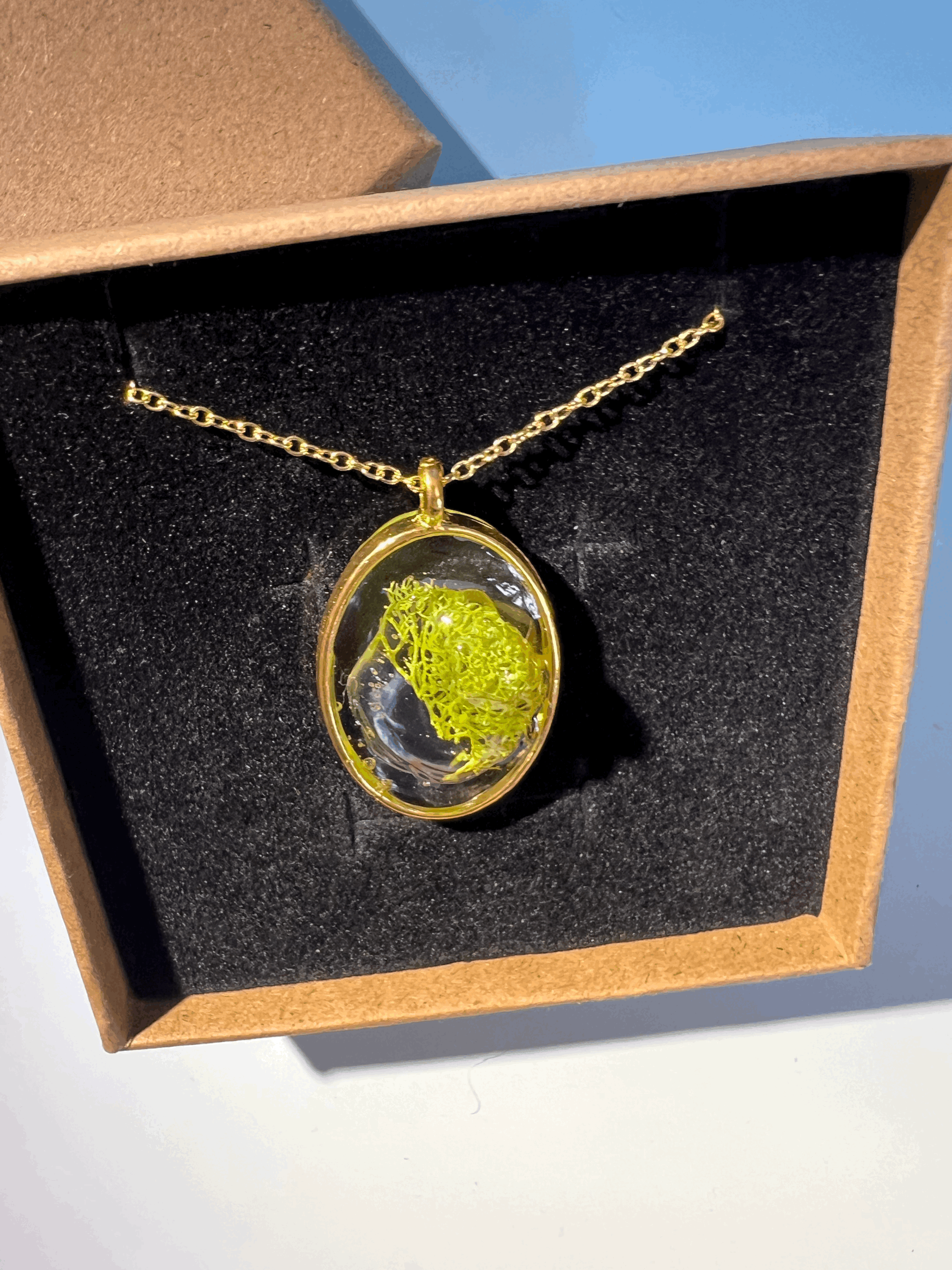 tempImageYlMTfQ.gif