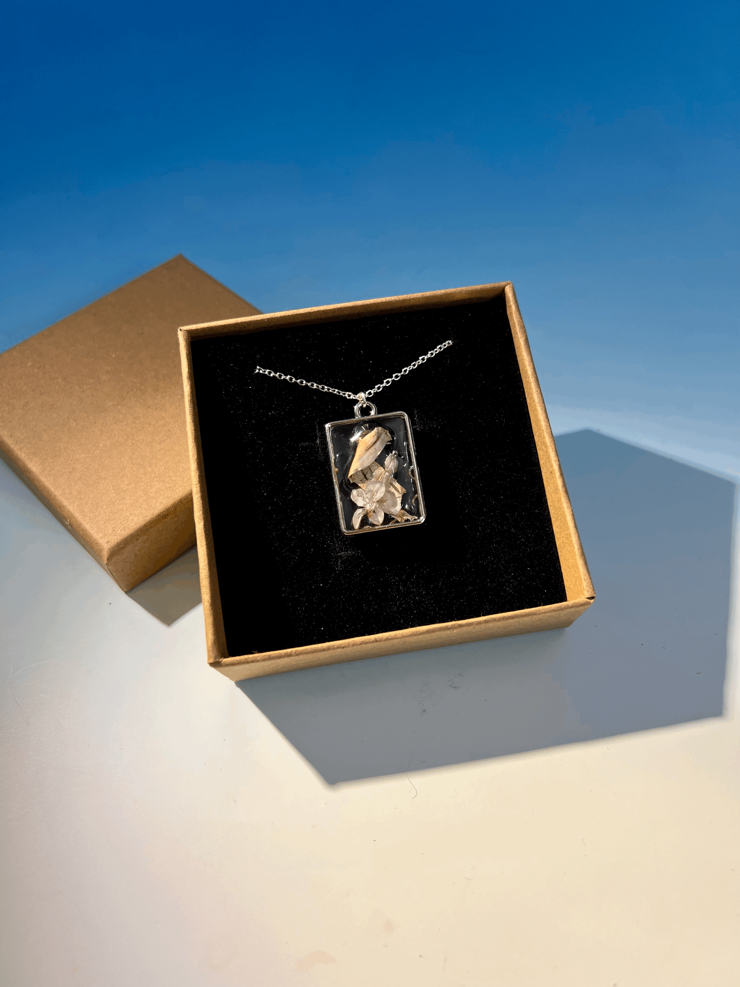 tempImageEYeqPh.gif
