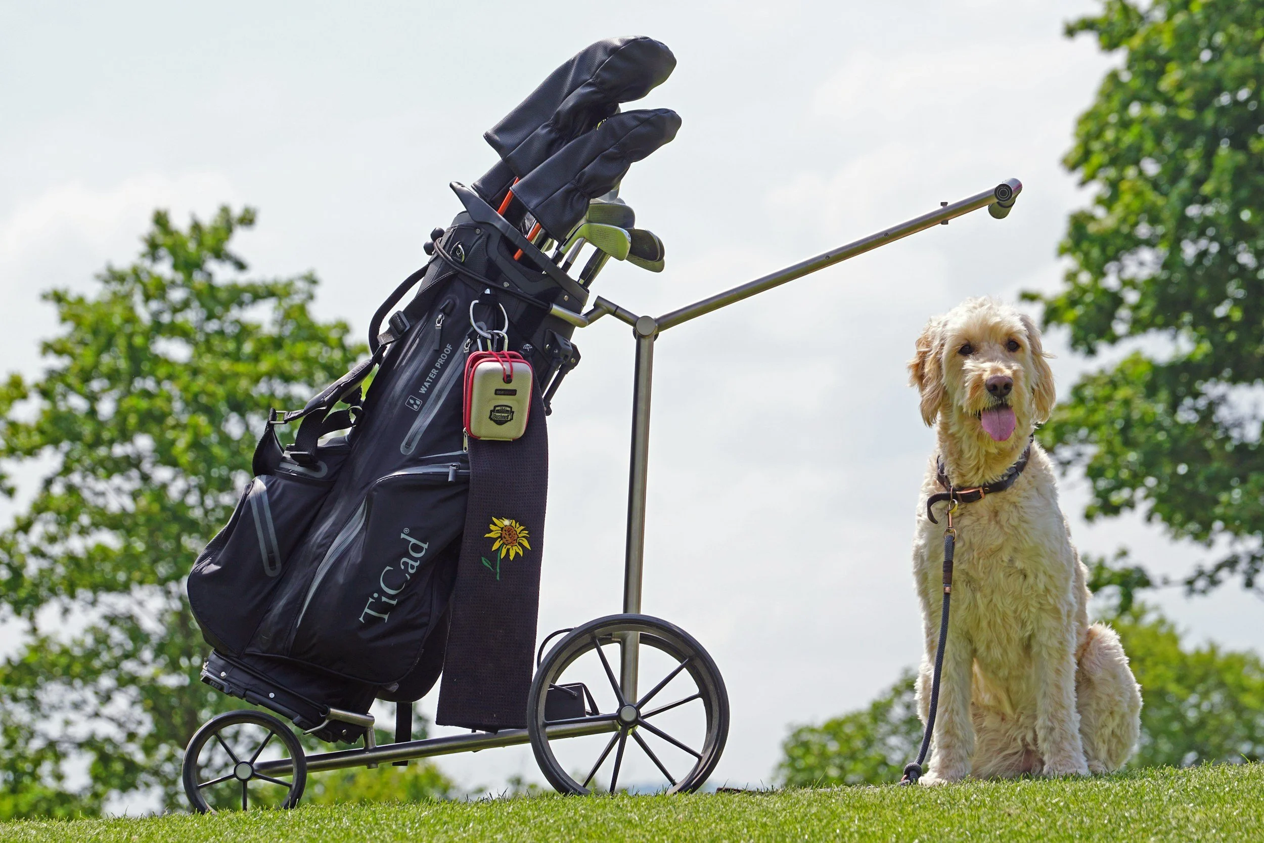 VBSPCA Puttin’ for Paws
