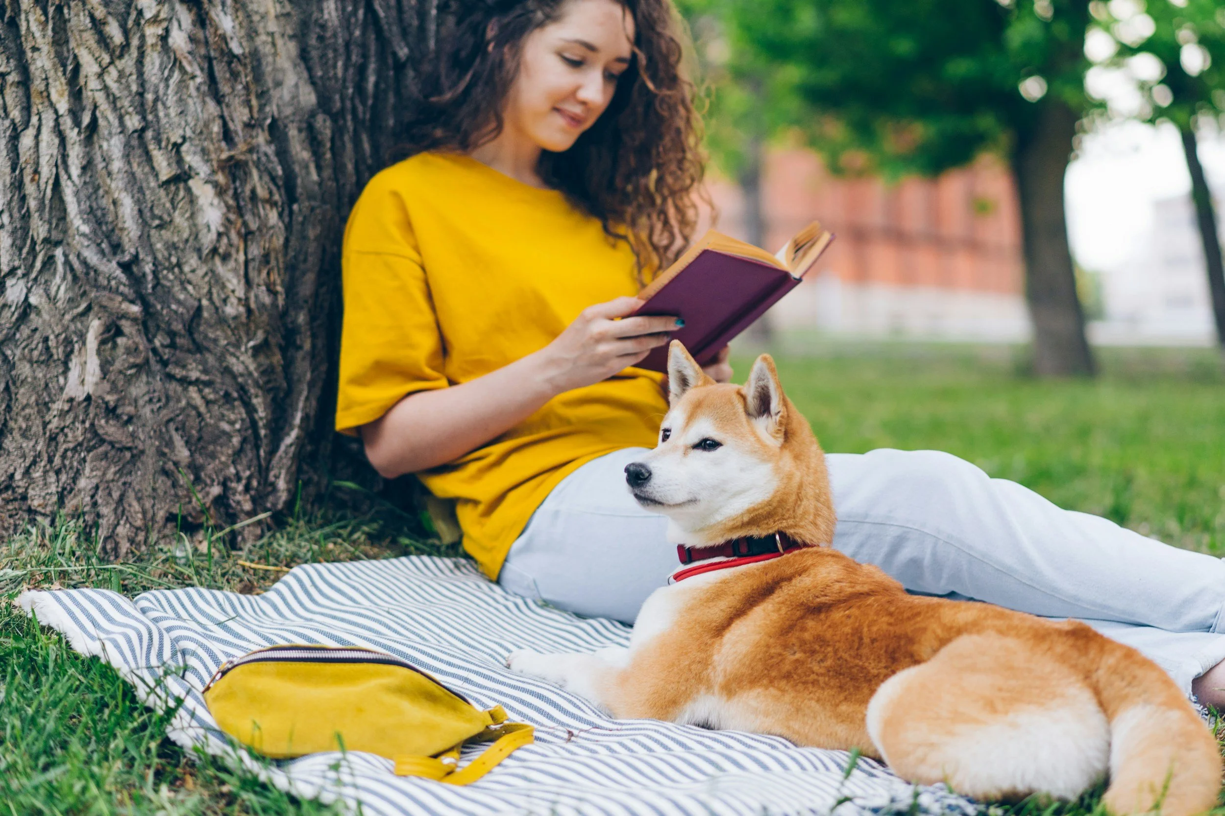 Books for Pet Lovers: End-of-Summer Reads