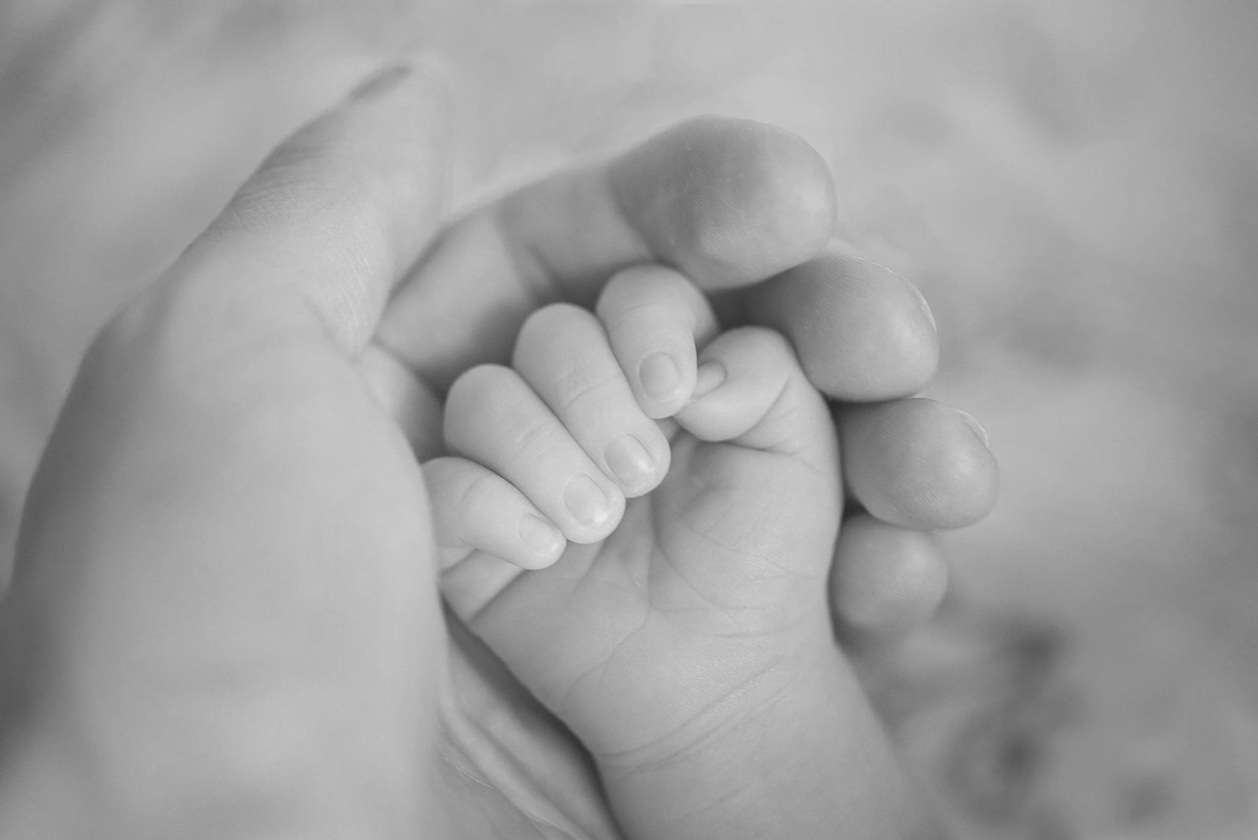 Close-up of an adult hand holding a baby's hand, both with light skin tones, in black and white.