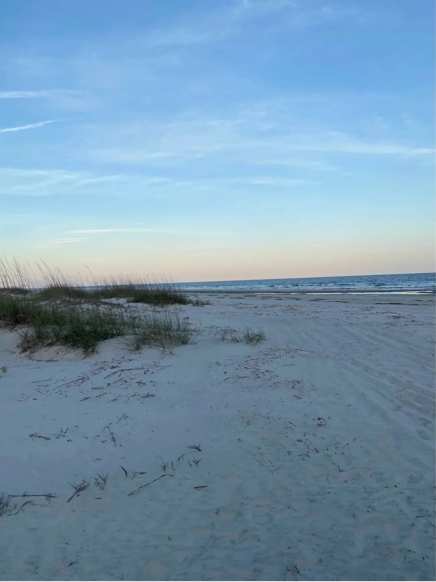 Beach scene with white sand, patches of grass, and the ocean in the background under a clear blue sky.