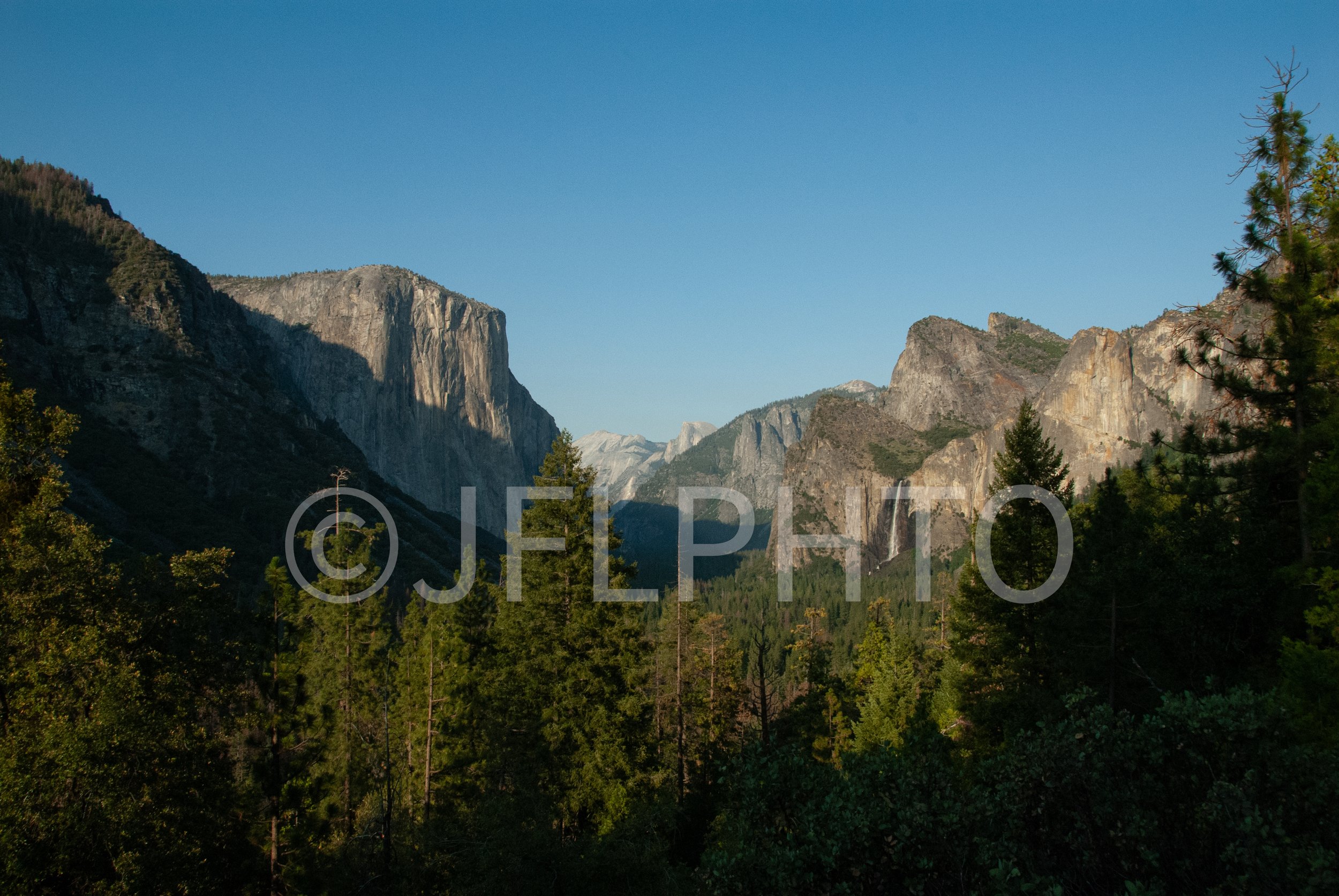 DSC_0314.jpg