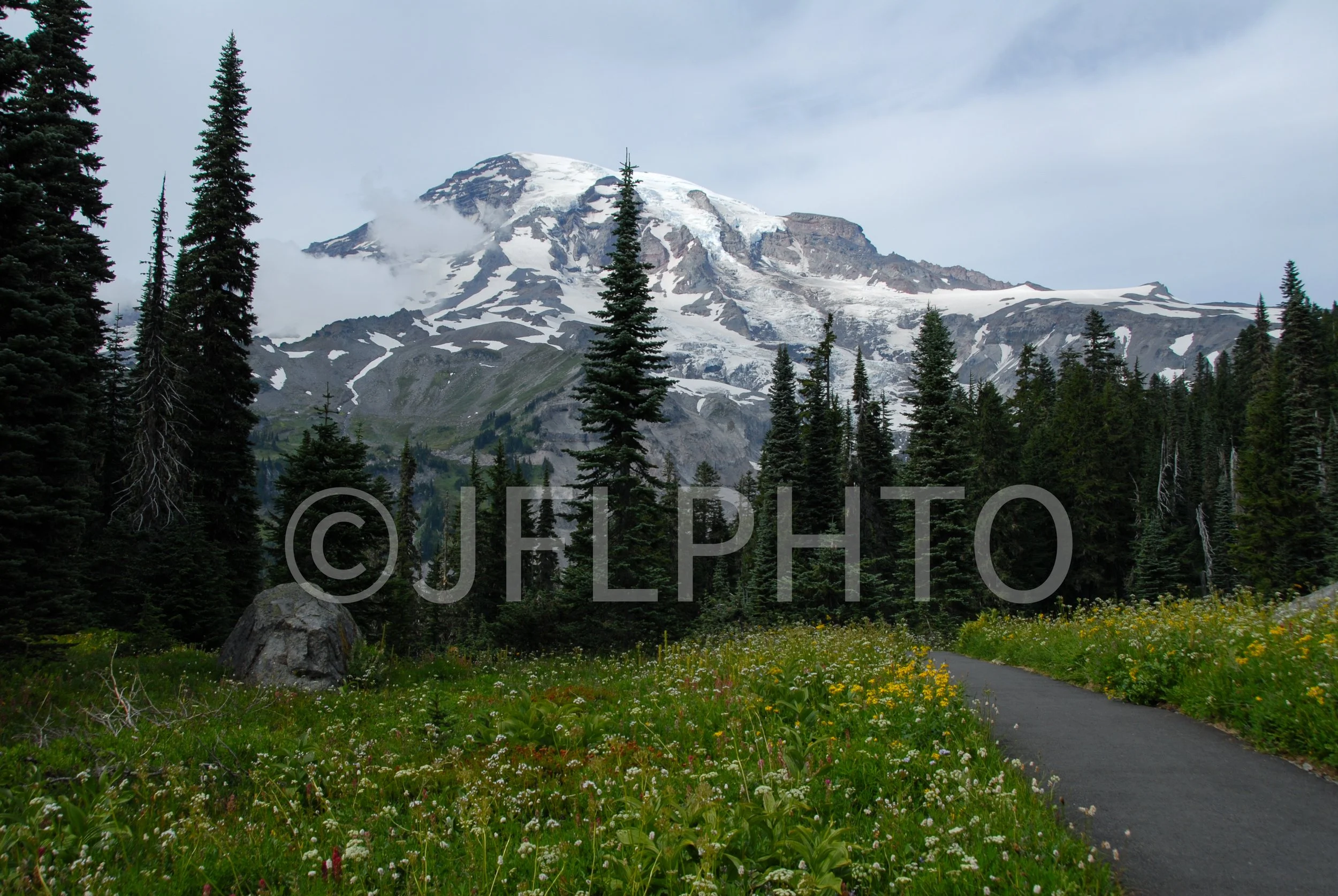 DSC_0465-2.jpg