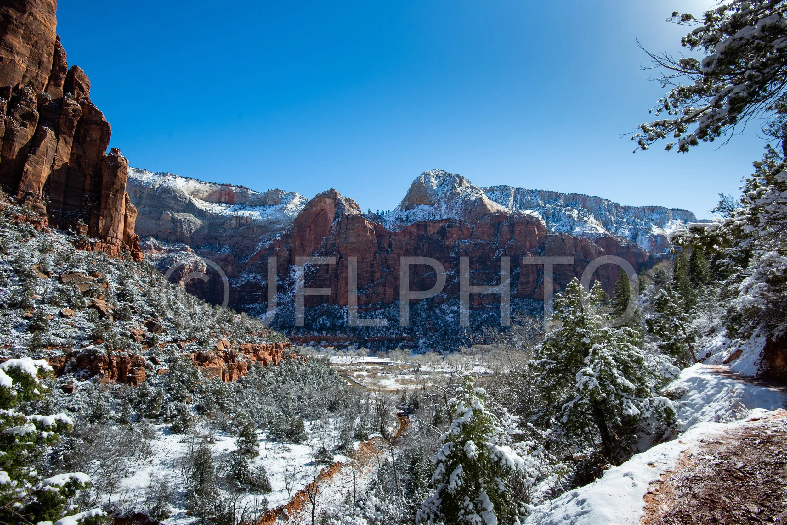 DSC_2724-2-2-2.jpg