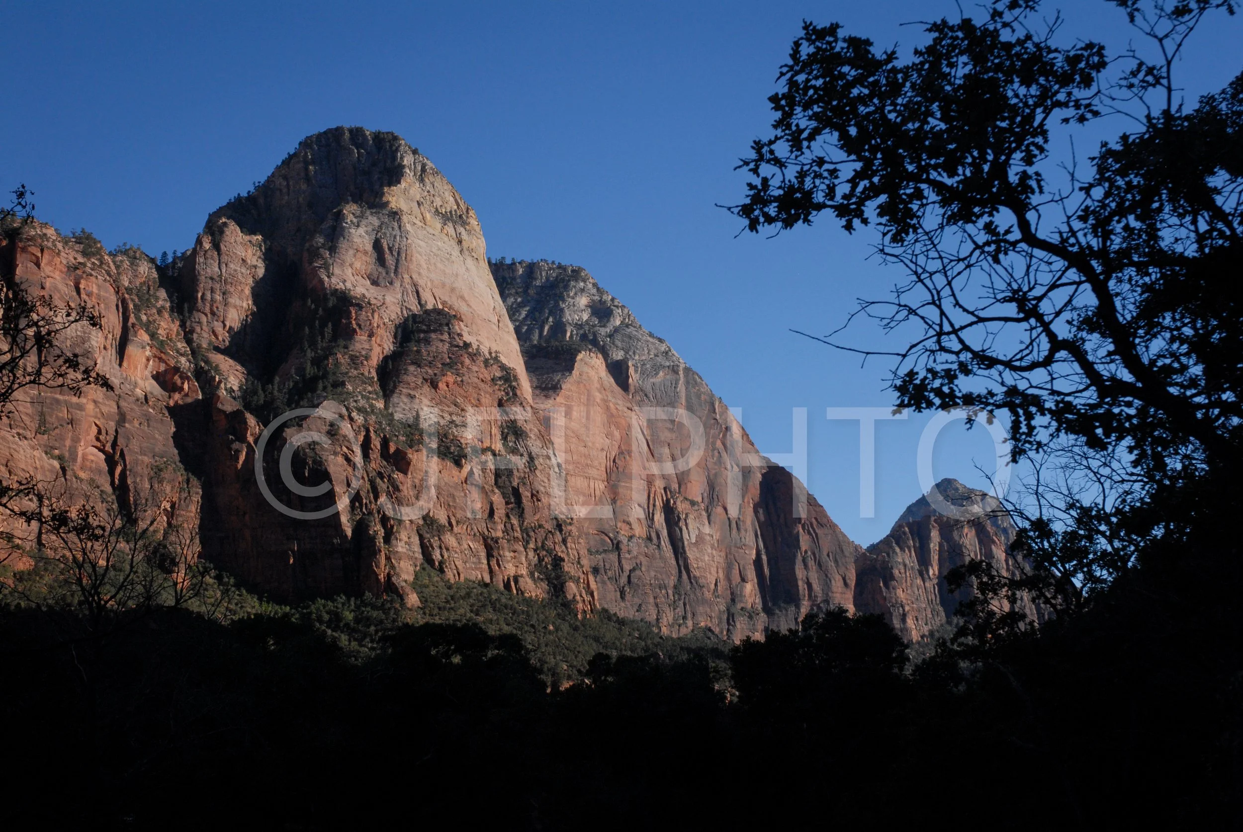 DSC_0071.jpg