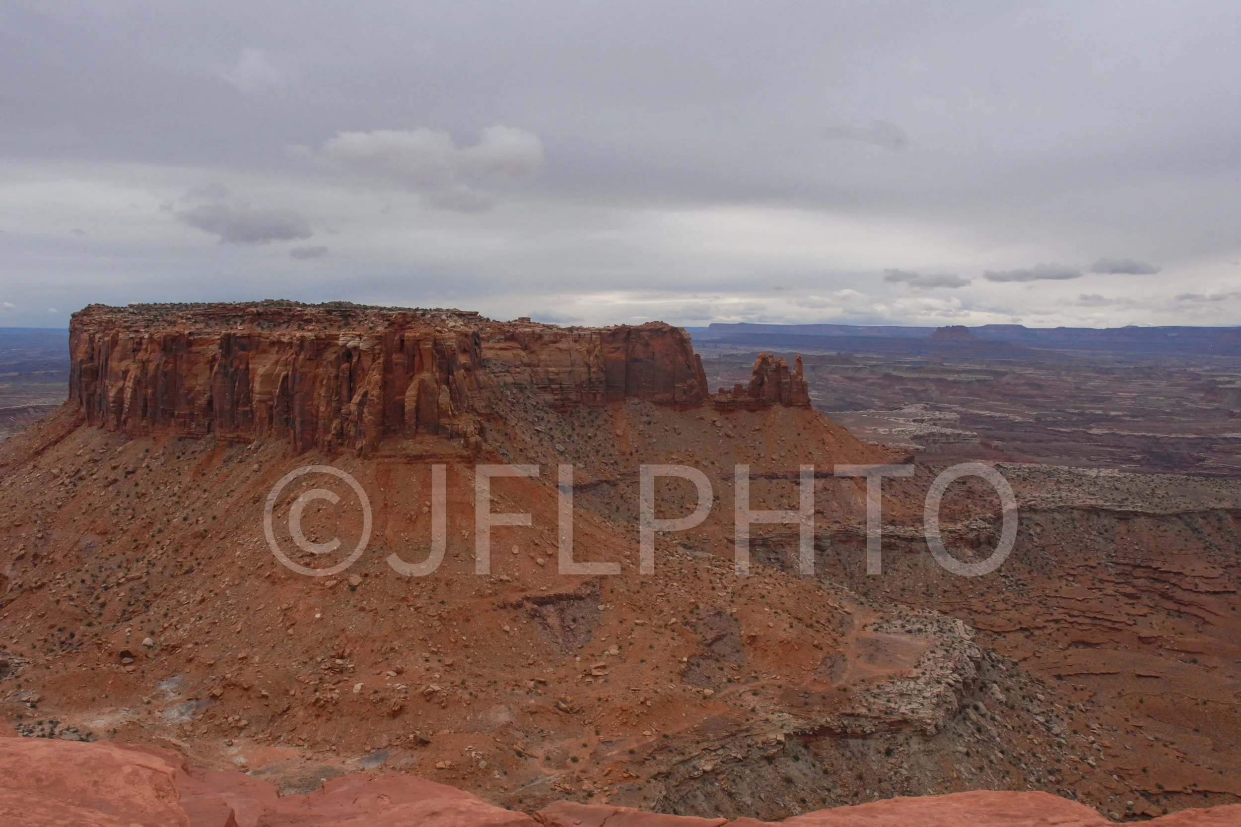 DSC_0704.jpg