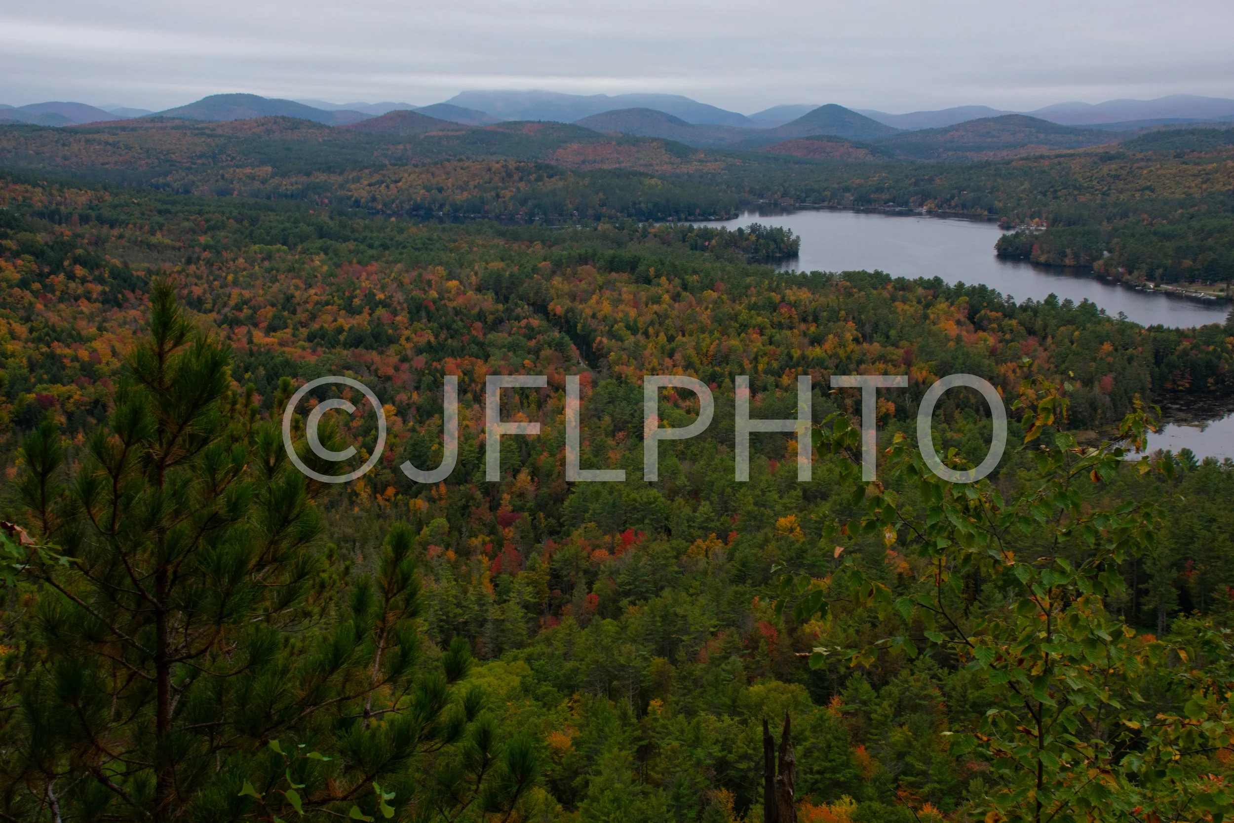 DSC_0500.jpg