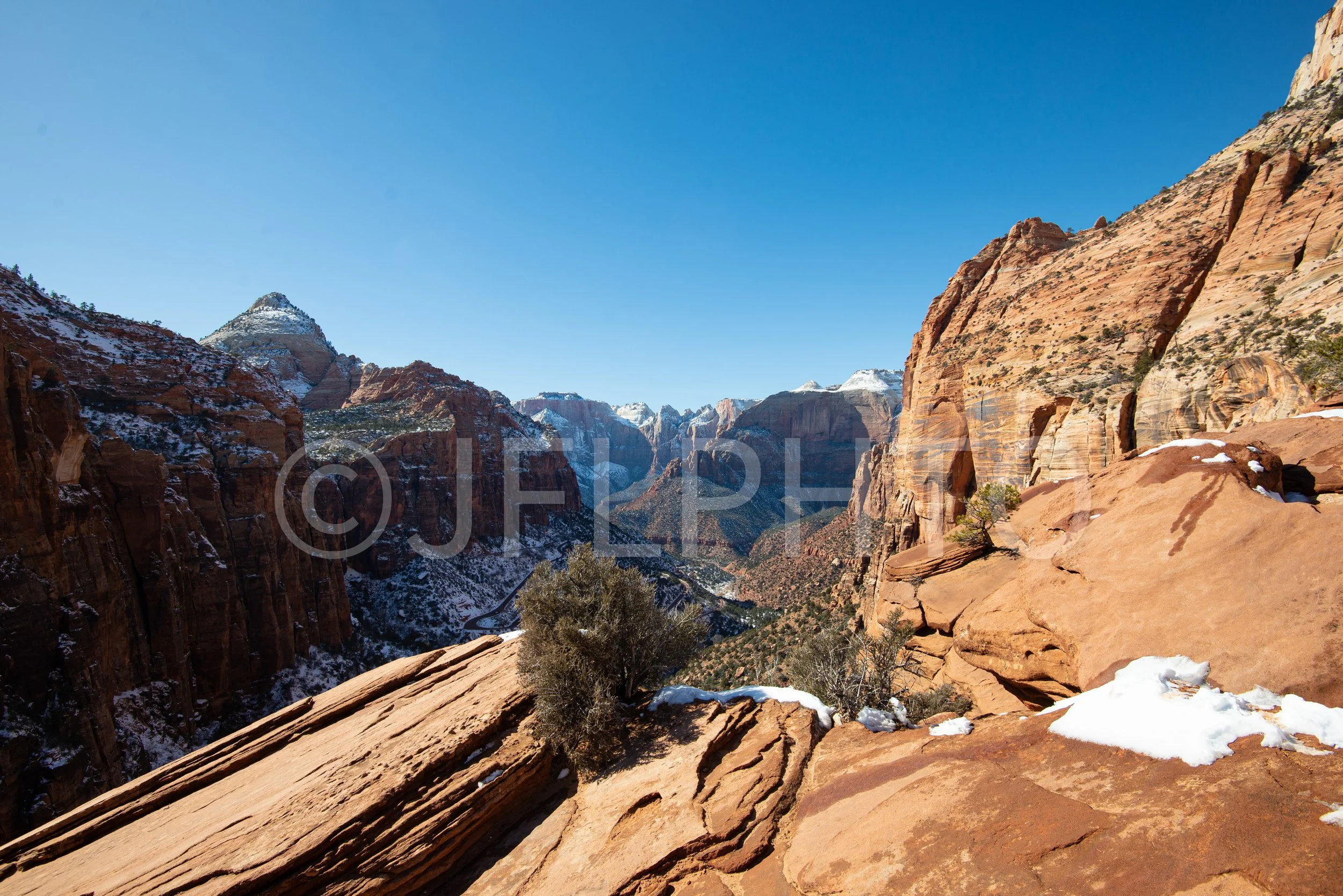 DSC_3147-2.jpg